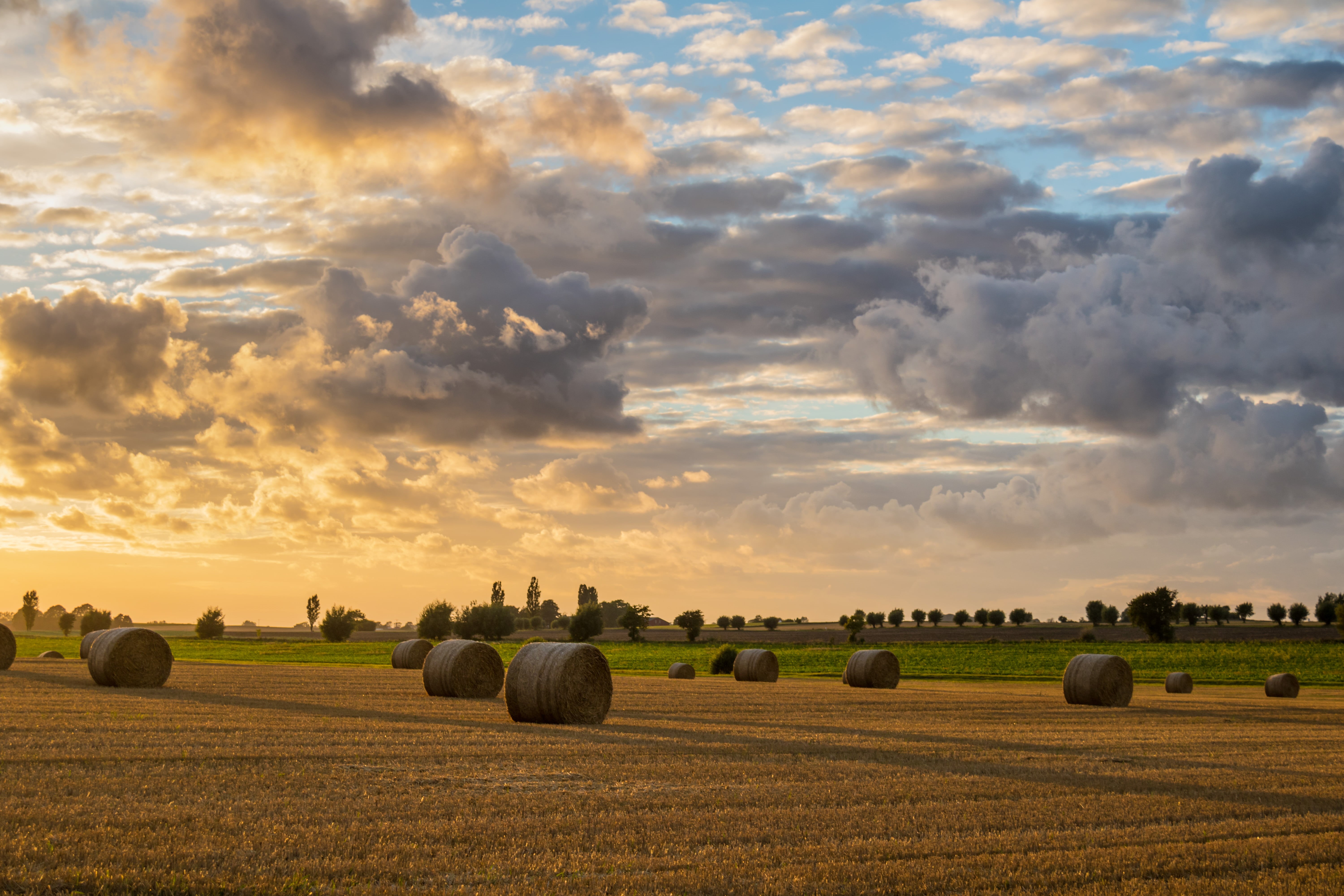 sunrise, ef, Hay, roll, agriculture, landskap, sky, countryside, crop, focal_length, canon, state, s18, nature, city, rural Scene, summer, iso_speed, 760d, HD Wallpaper