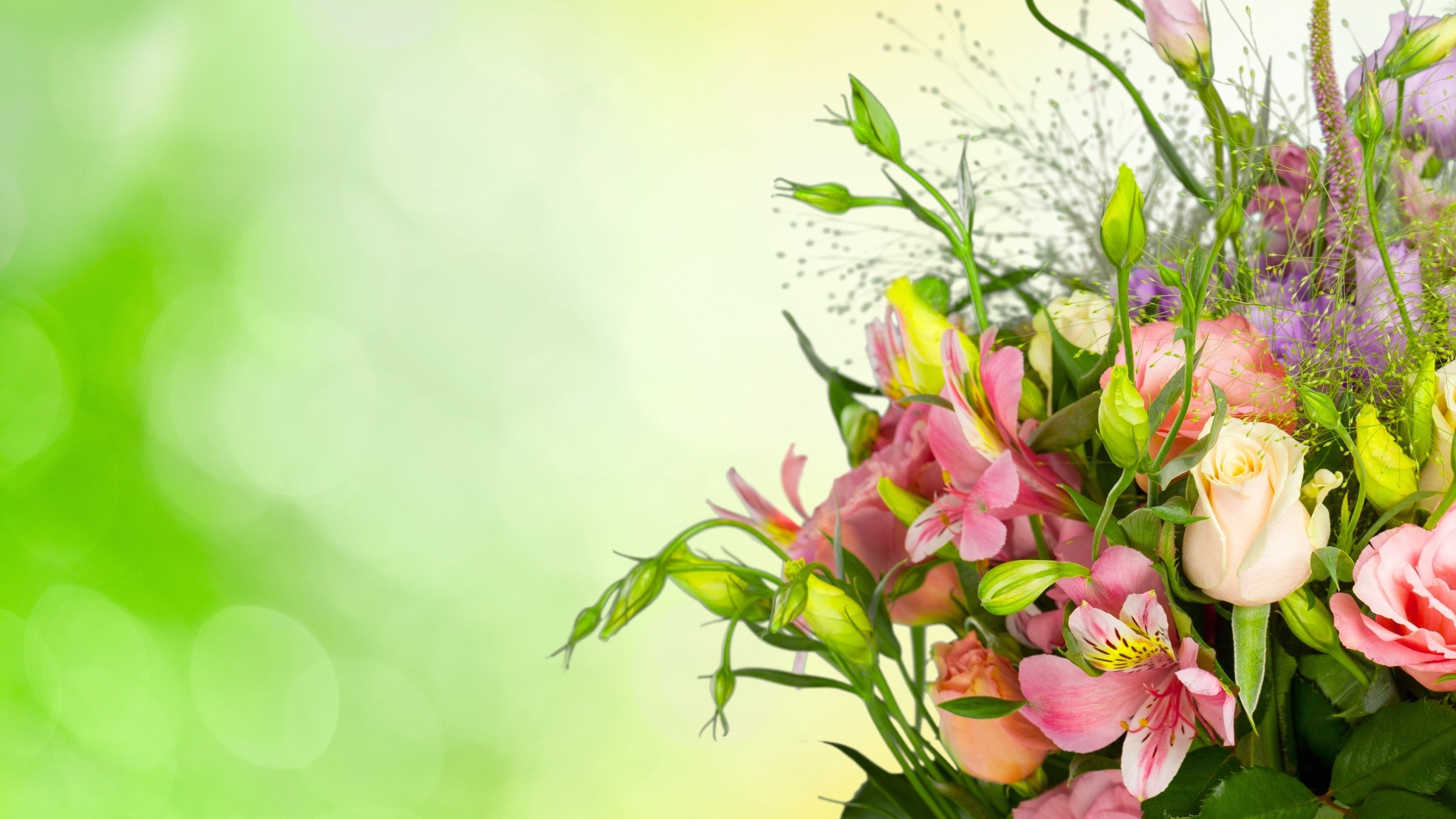 nature, no people, flower 4k background download, freshness, plant, flower head, petal, purple, plant part, outdoors, pitcher - jug, springtime, flower, HD Wallpaper