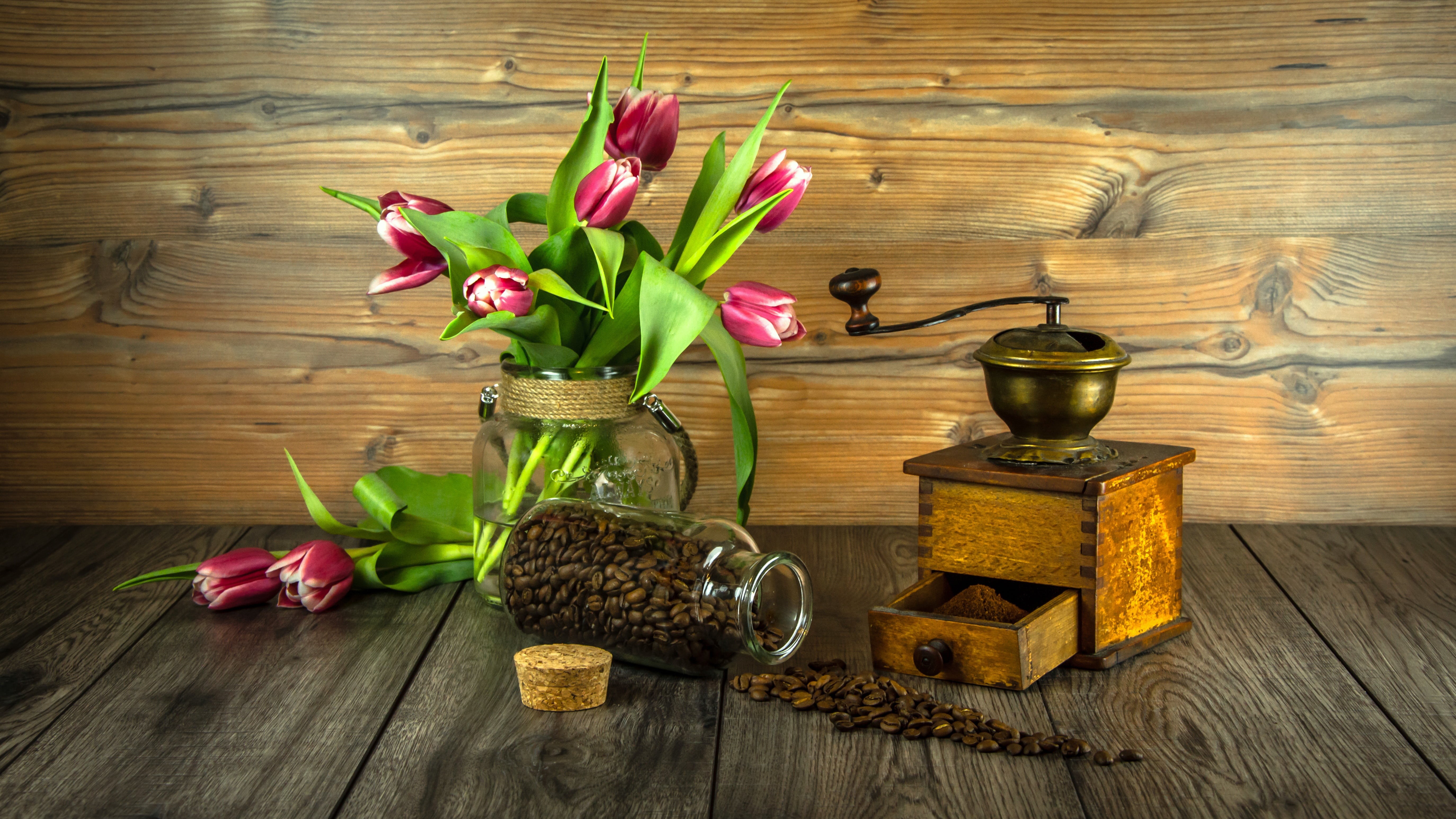 flower, pink, rose, flowers of the tulip, grain coffee, retro, container, coffee grinder, coffee, studio, manual, flowering plant, flower arrangement, vulnerability, HD Wallpaper