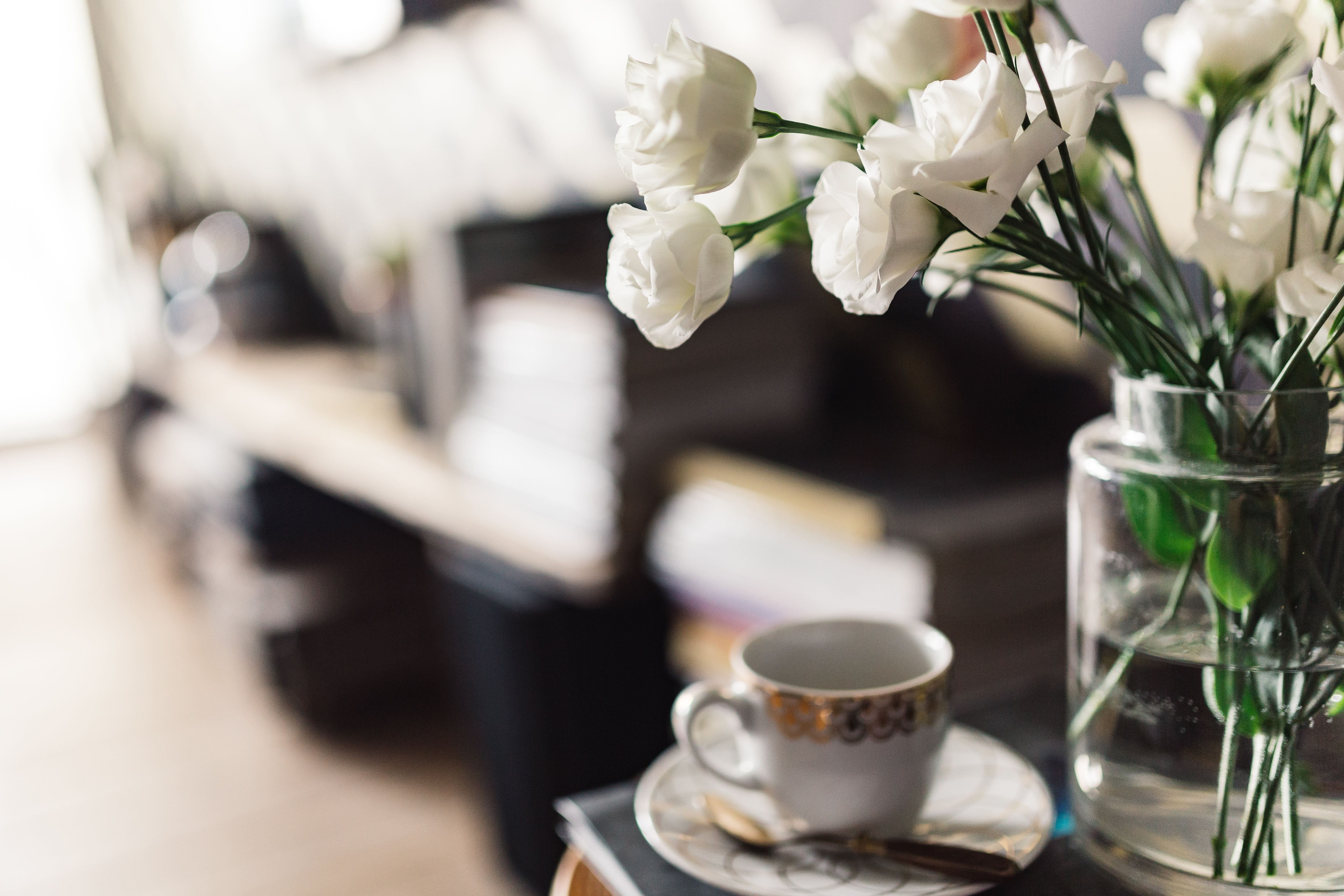 flower head, arrangement, apartment, flower arrangement, 4K, mug, no People, Design, drink, flower, pitcher - jug, coffee, crockery, contemporary, close-up, HD Wallpaper
