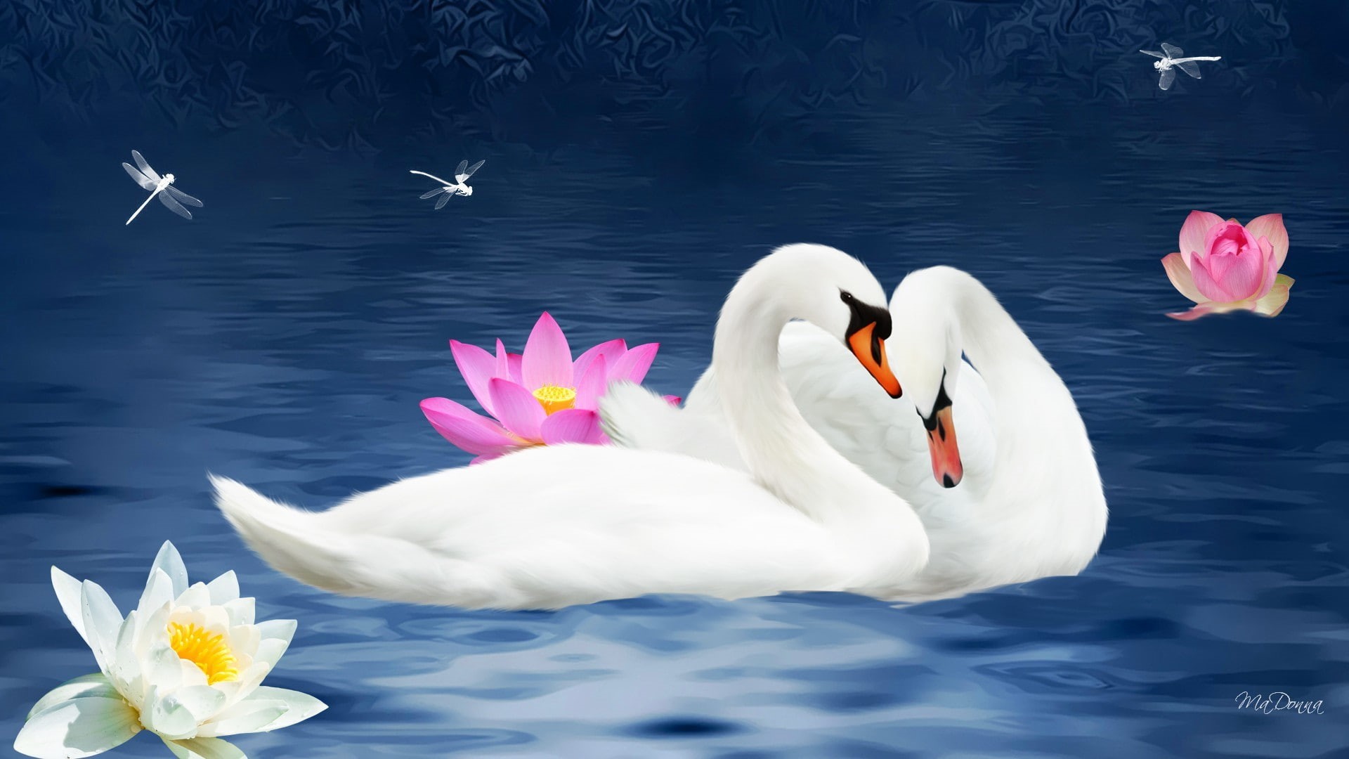 1080P, Lotus, Artistic, Love, Pond, Dragonfly, Couple, Birds, Swan, HD Wallpaper