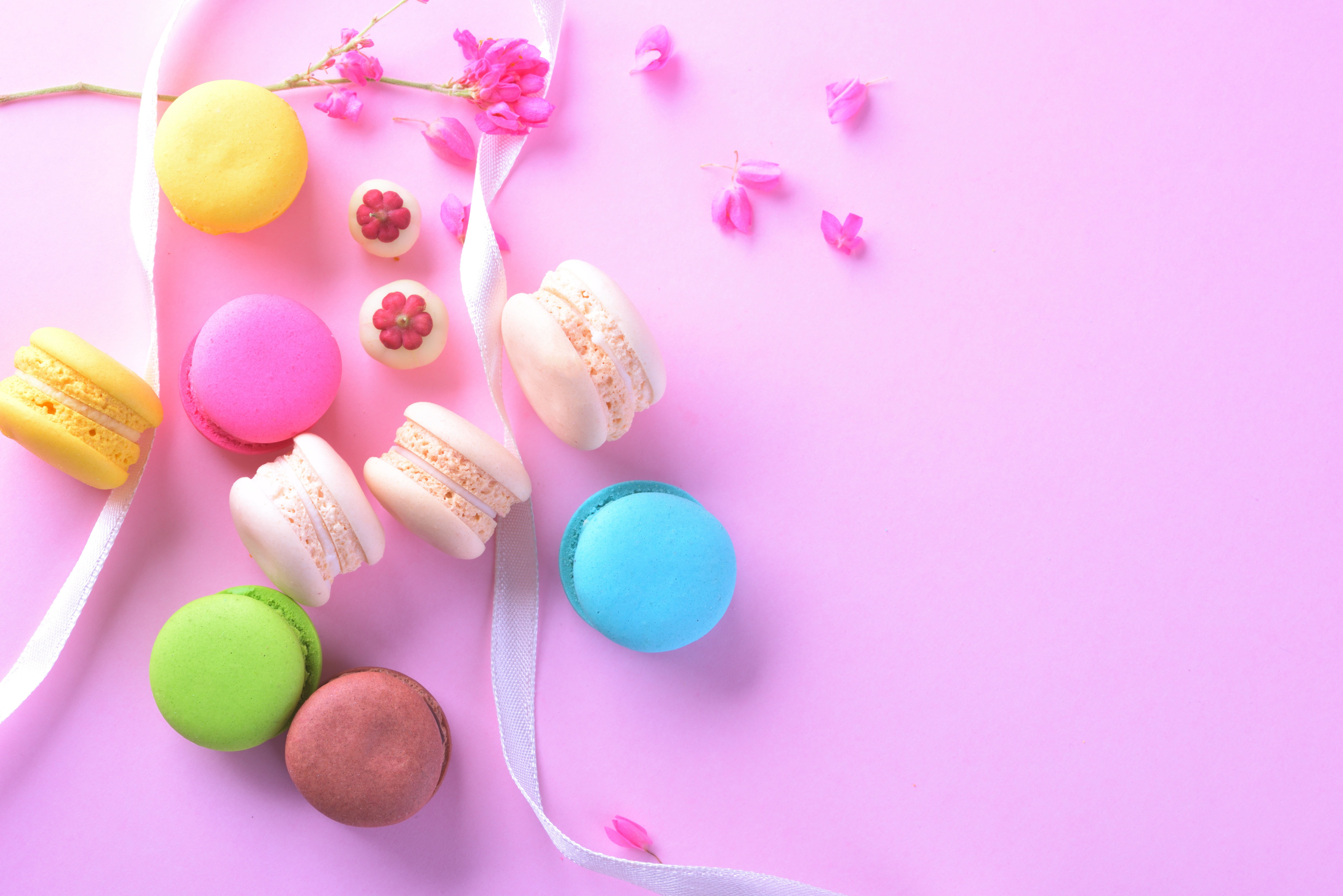 cakes, macaron, 5K, background, flowers, tender, sweet, french, dessert, colorful, petals, pink, macaroon, HD Wallpaper