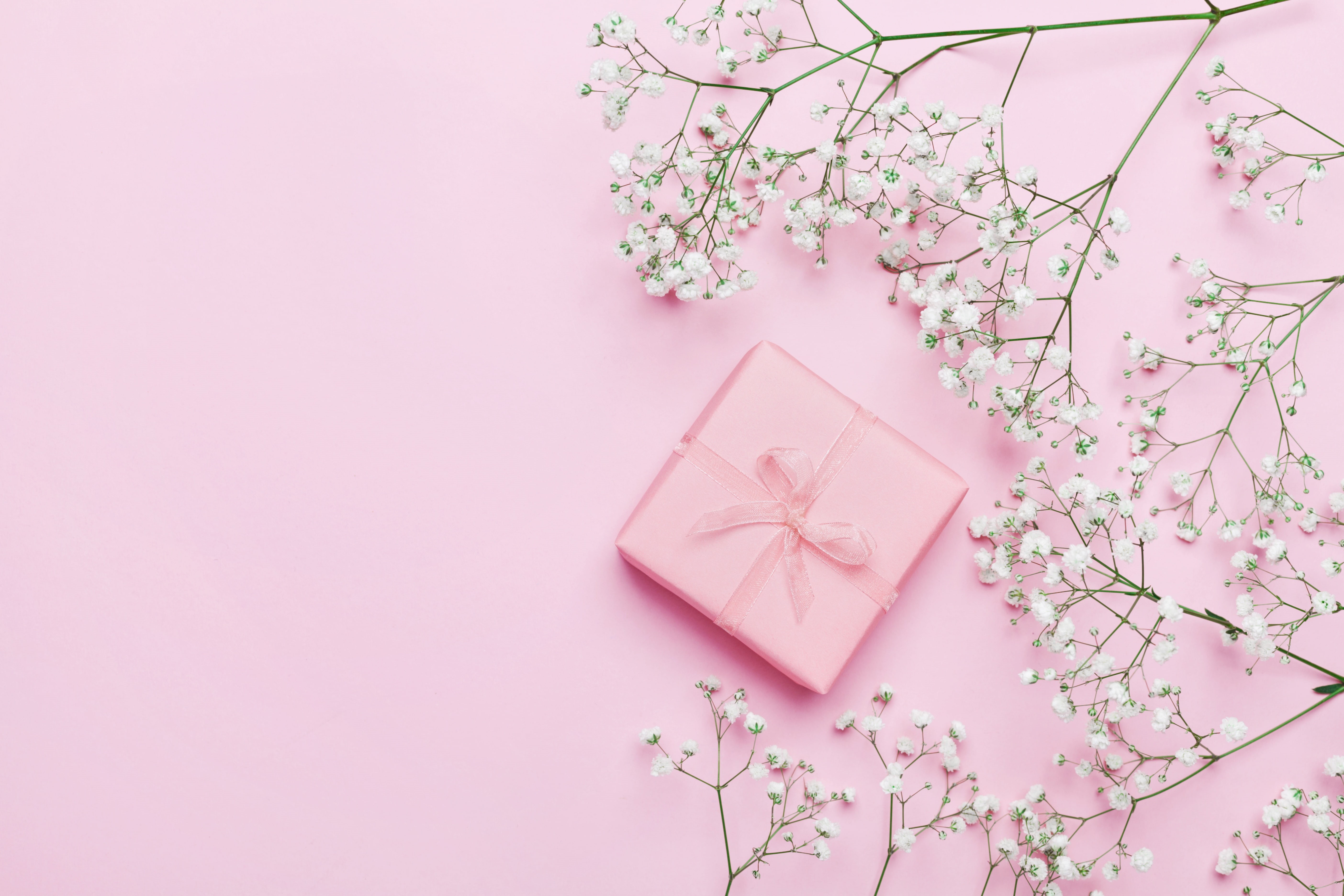 romantic, beautiful, present, pink, background, gift, 5K, flowers, tender, HD Wallpaper