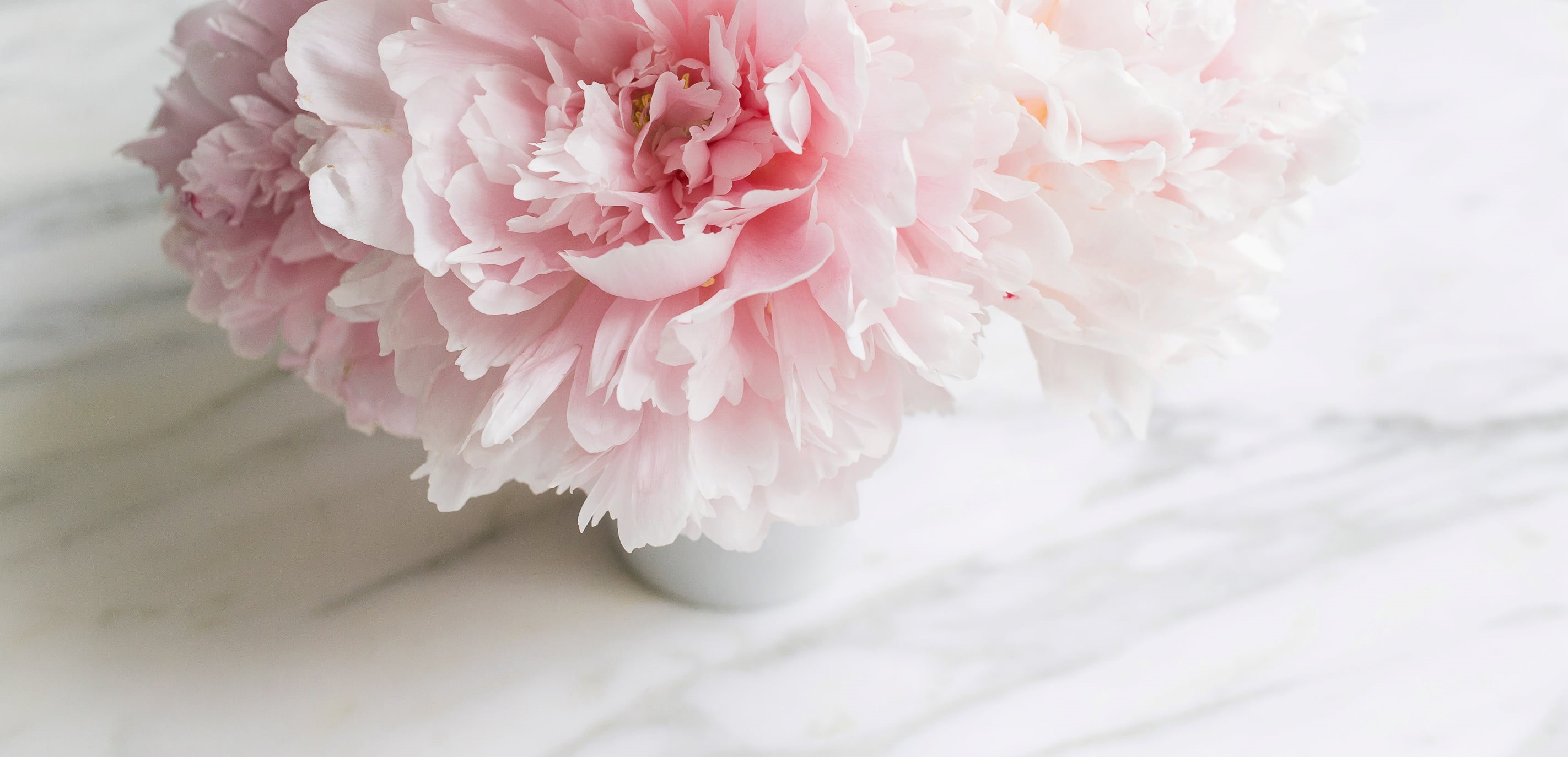 softness, nature, fragility, event, bunch of flowers, indoors, close-up, petal, marble, flower arrangement, freshness, flowers, vulnerability, blossom, HD Wallpaper
