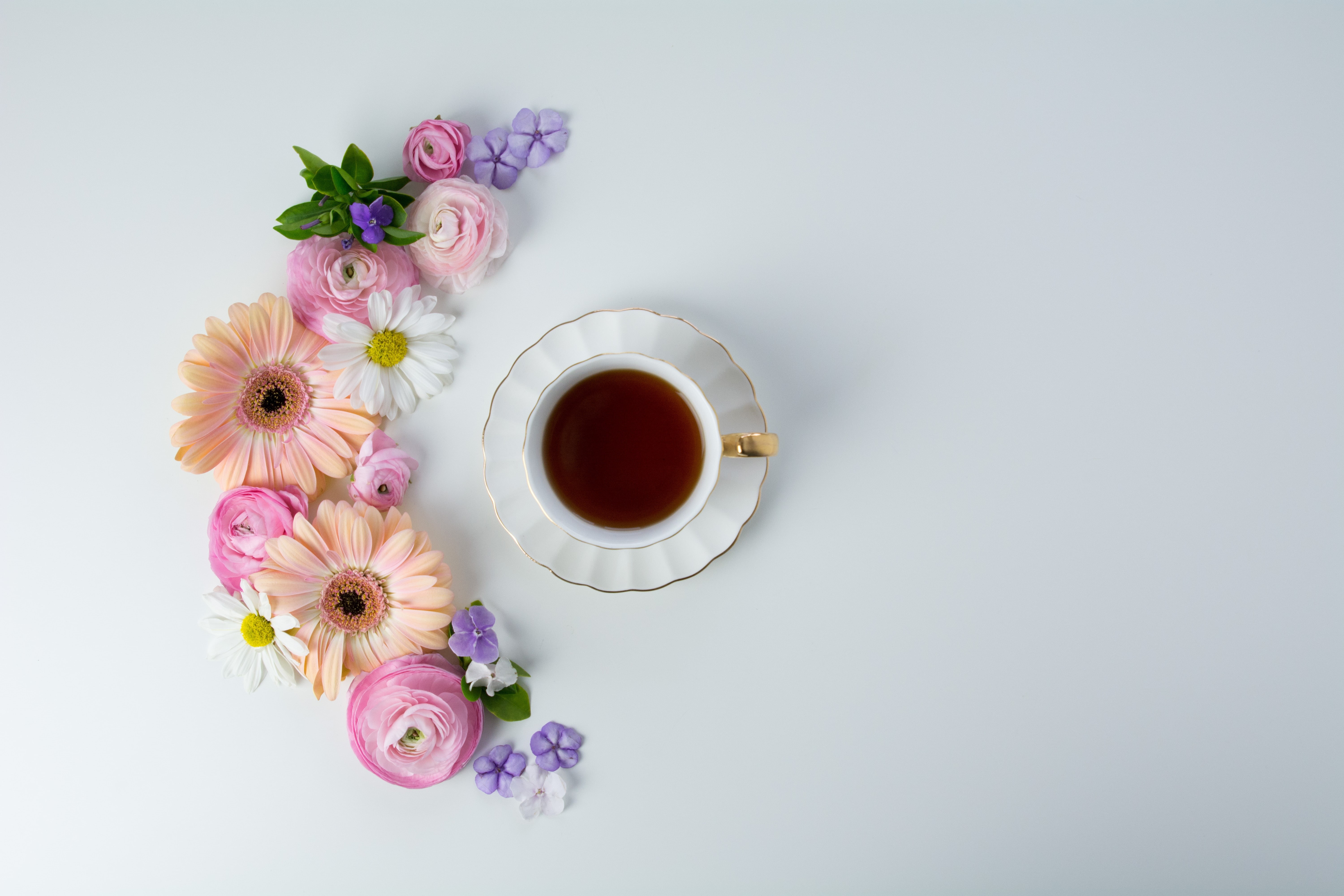 coffee, 5K, pink, tender, Cup, flowers, HD Wallpaper