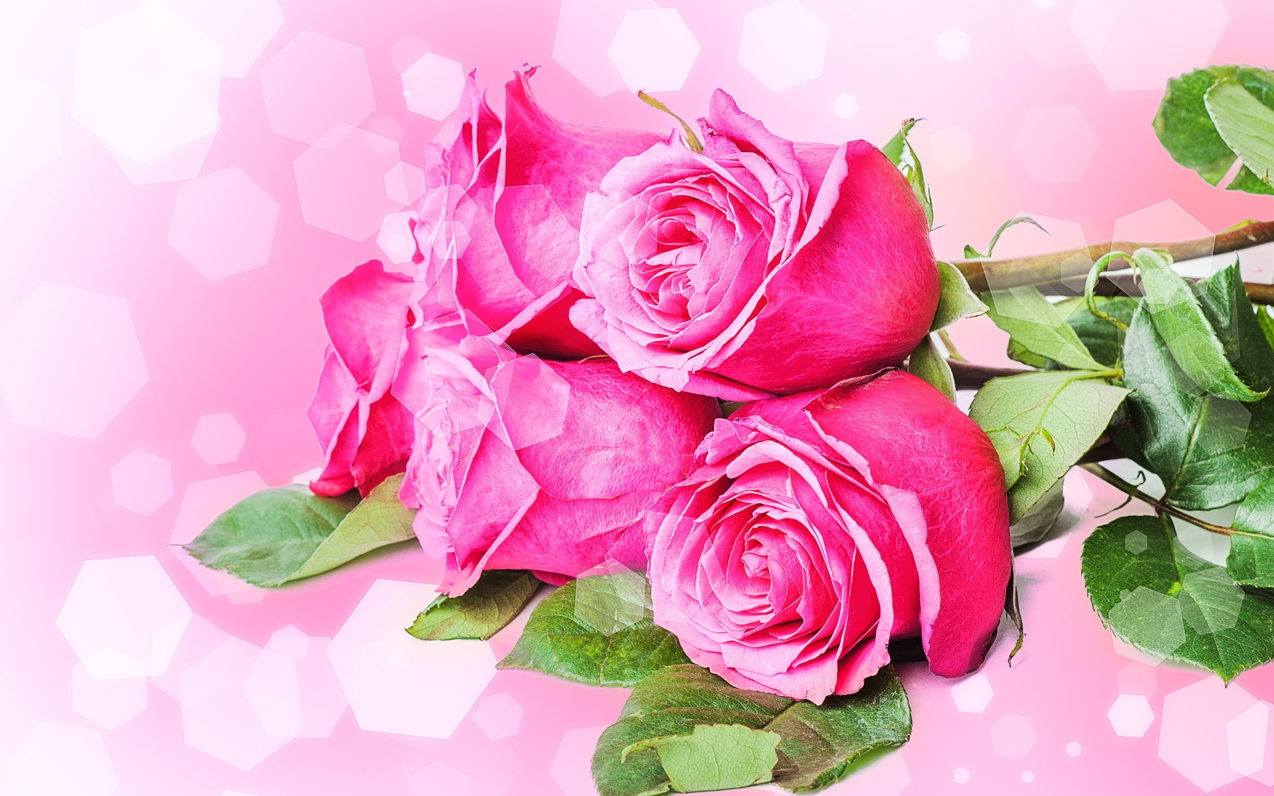 Bouquets, 2K, Roses, Flowers, Pink, HD Wallpaper