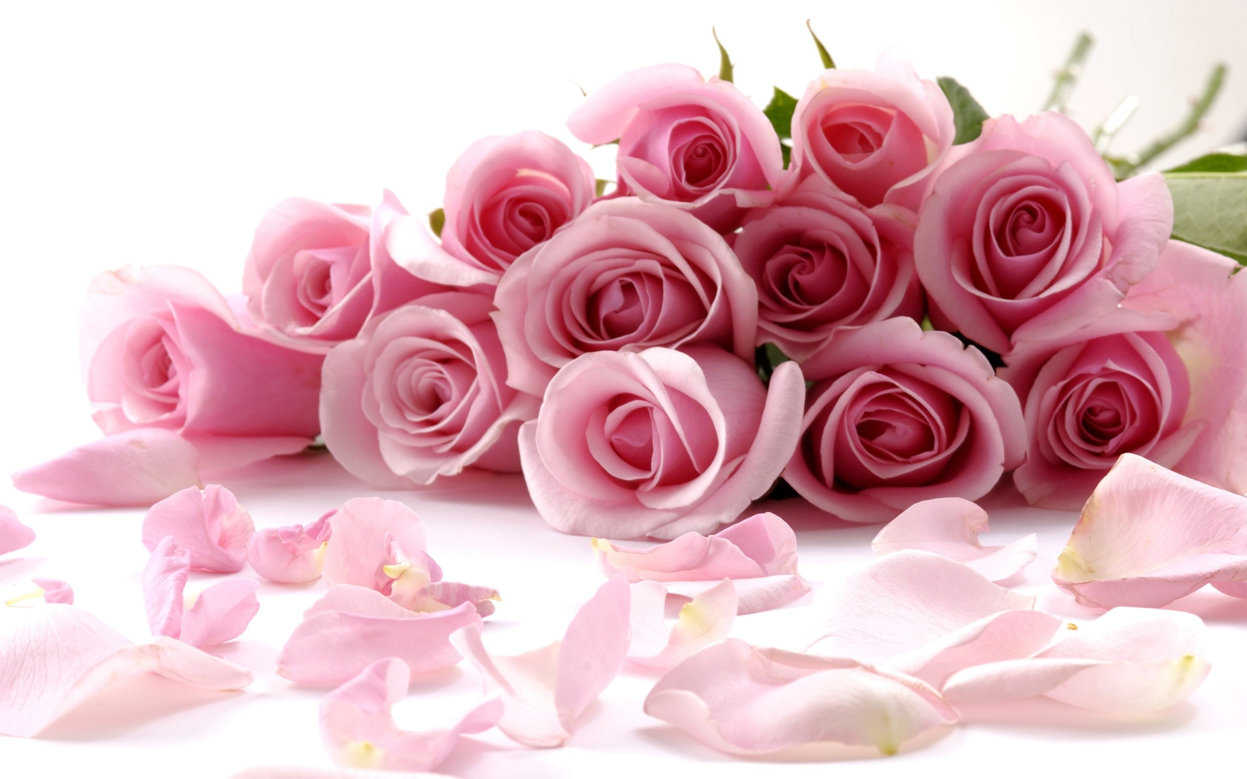 roses, 2K, Pink, Bouquet, Romantic, Rose, HD Wallpaper