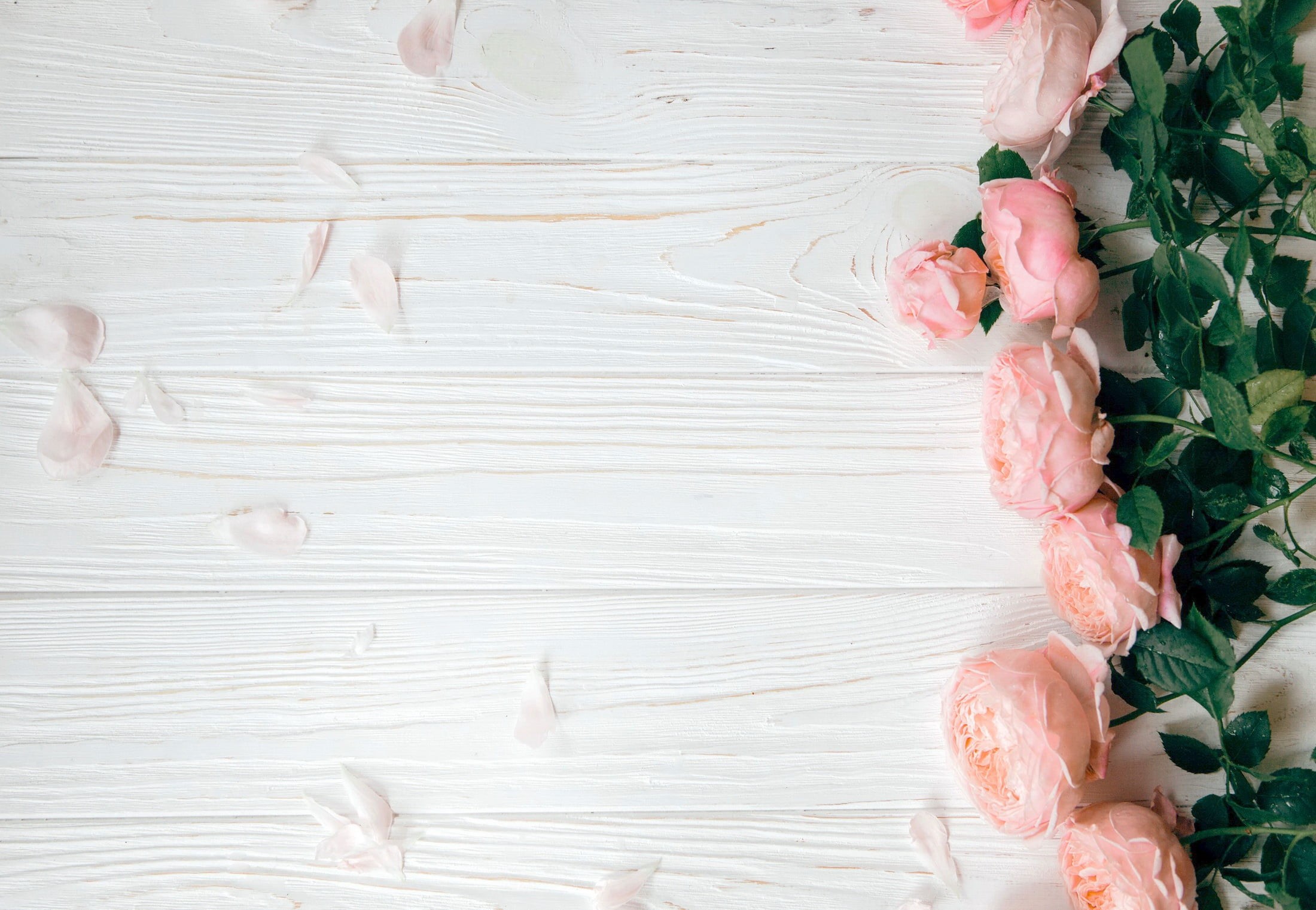wood, 1080P, peonies, flowers, pink, HD Wallpaper