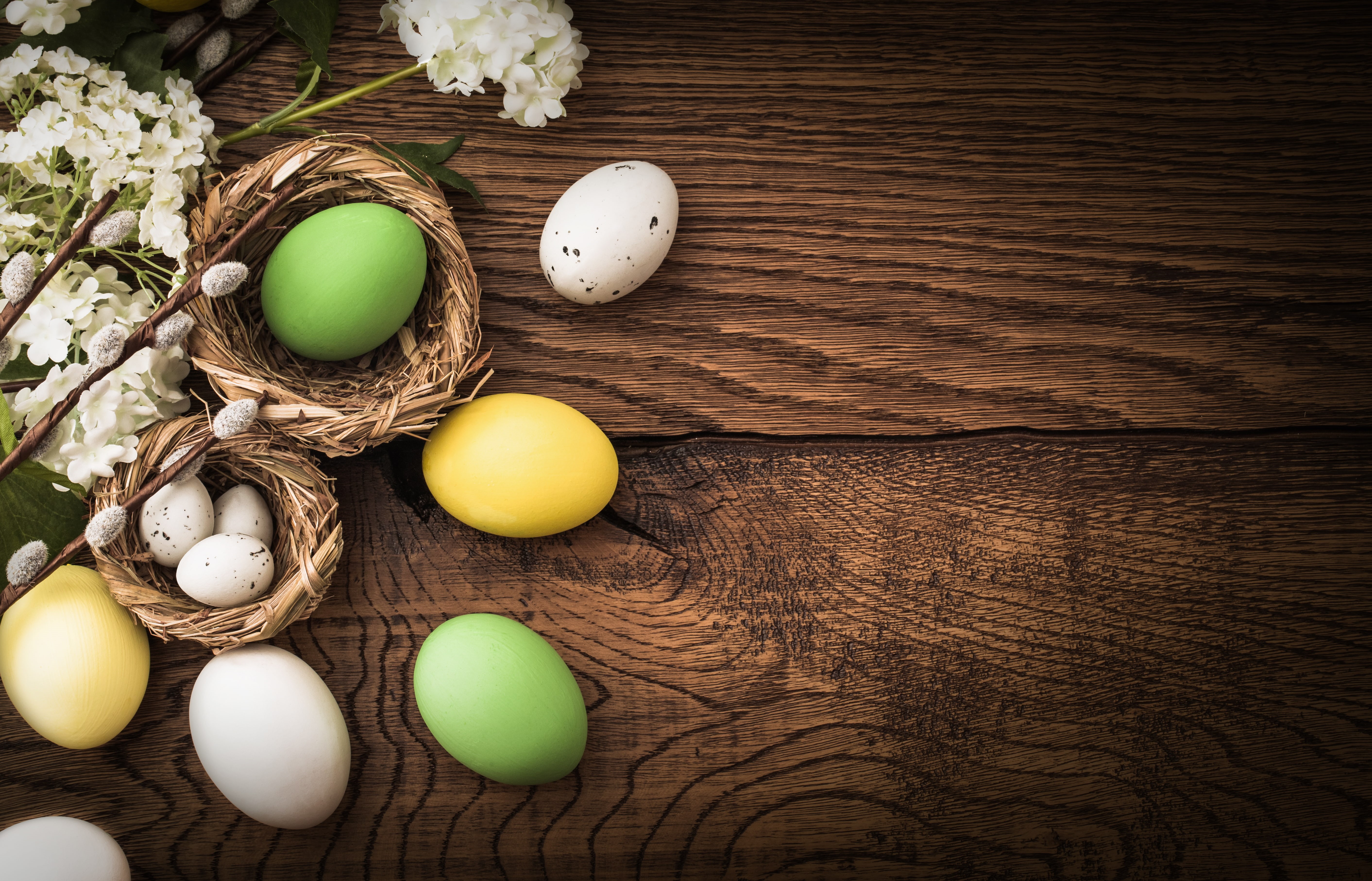 flowers, decoration, 5K, Easter, eggs, spring, Happy, HD Wallpaper