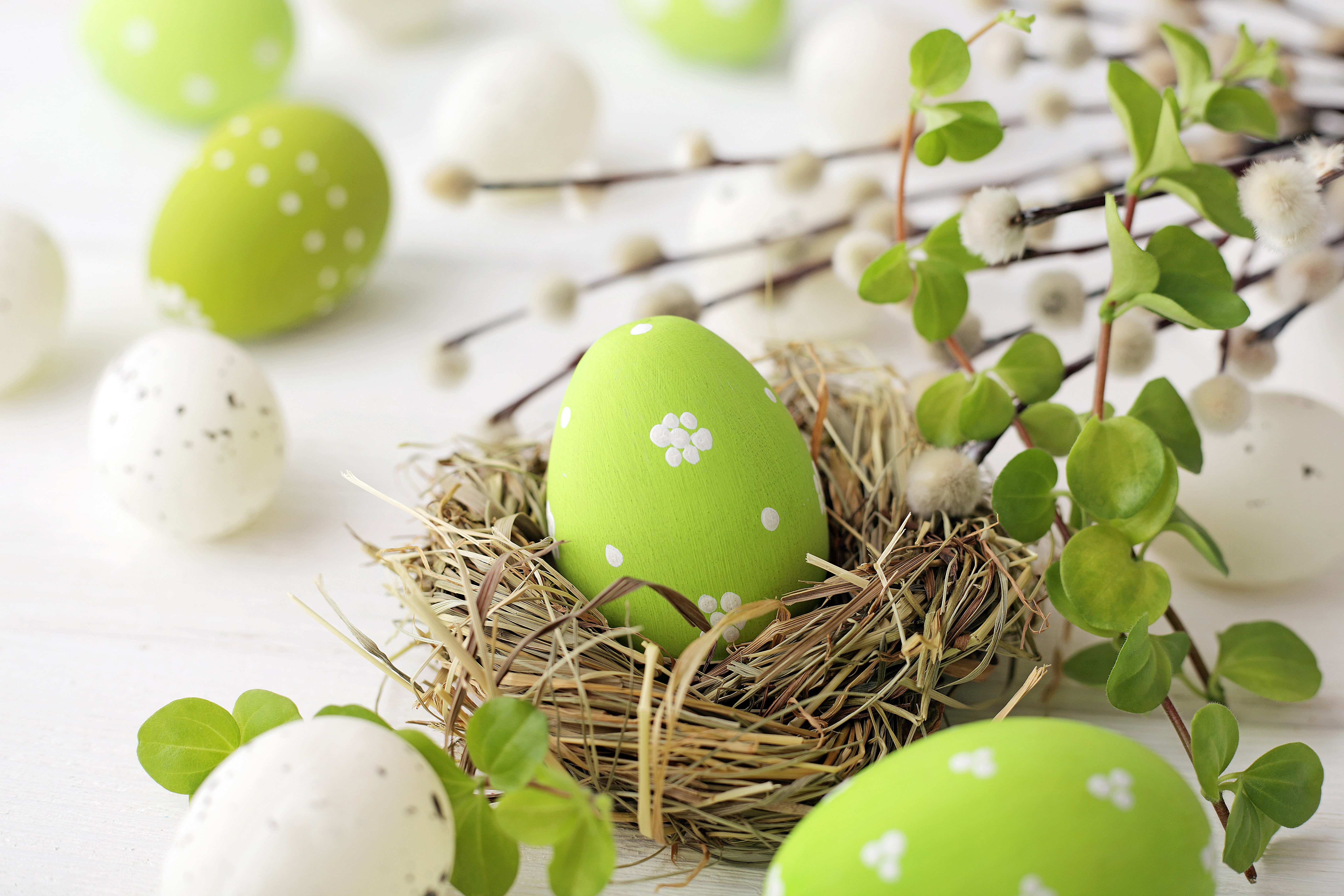 Easter, 5K, decoration, spring, Verba, willow, eggs, Happy, flowers, HD Wallpaper