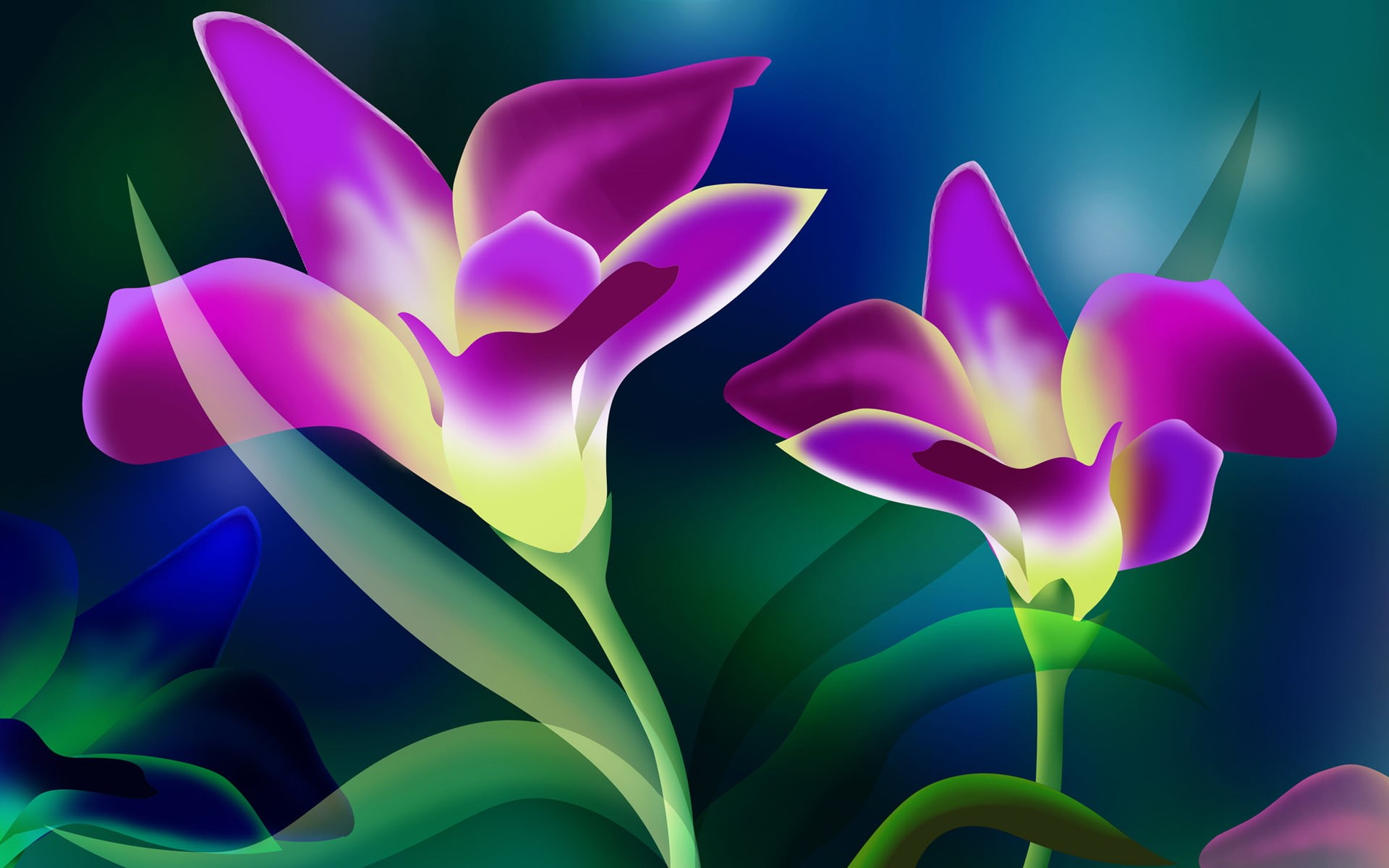 beautiful, 1080P, pink flowers, flowers, purple, illustration, blooming, pink, HD Wallpaper