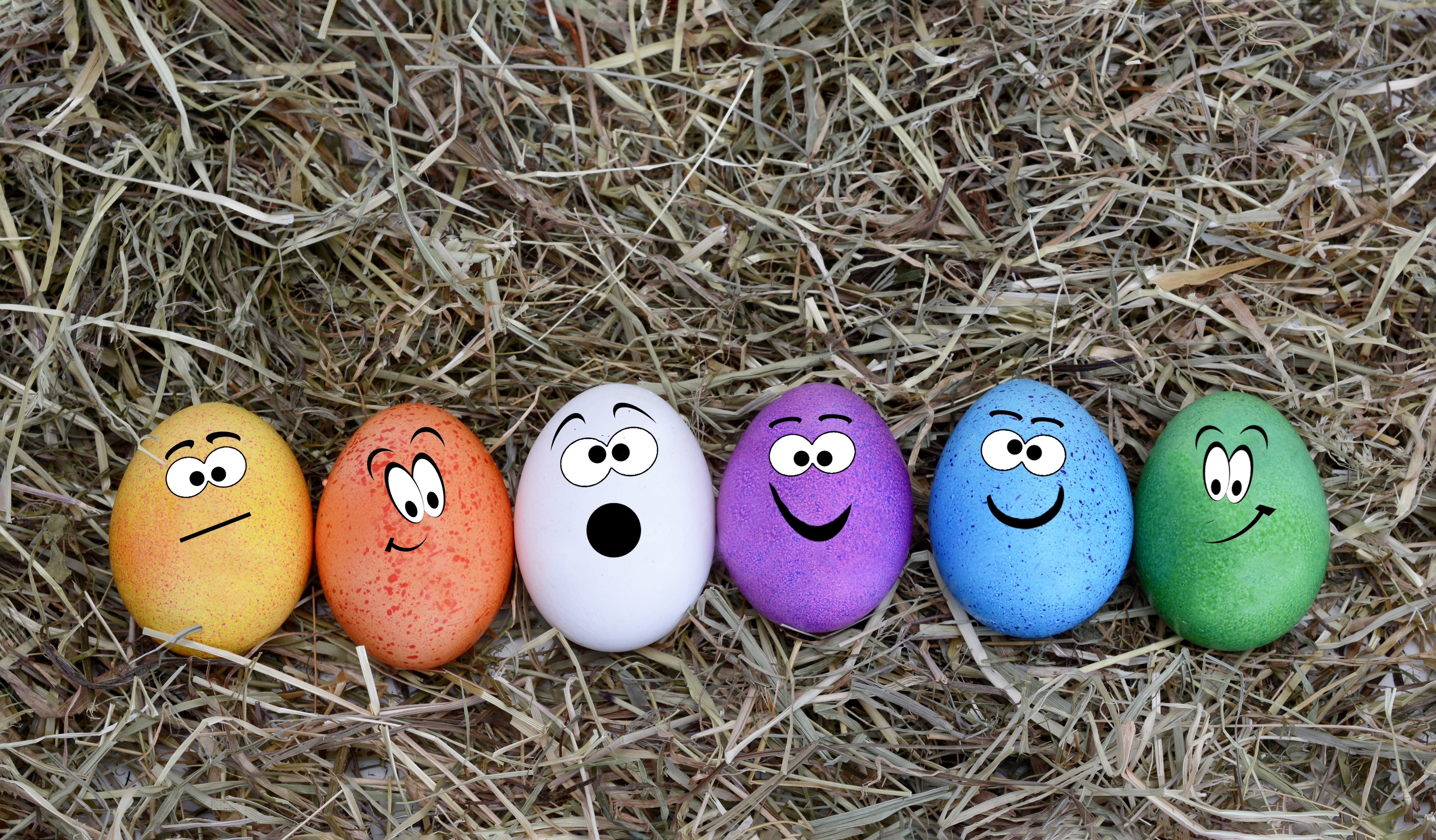 purple, colorful eggs, easter theme, chicken eggs, creativity, art and craft, decoration, eggs, nature, painted, celebration, custom, 5K, spring, happy easter, HD Wallpaper