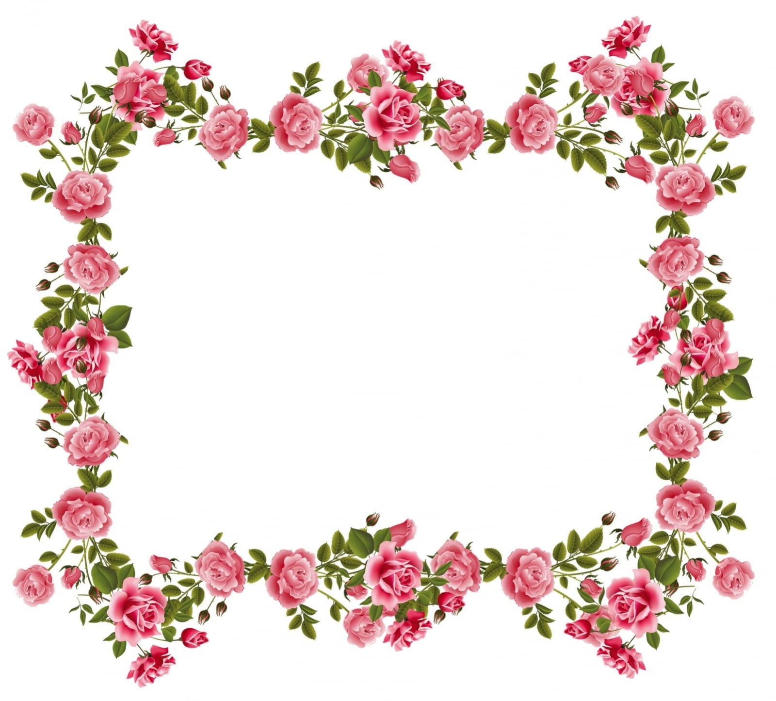 cut out, plant, copy space, freshness, green, digital composite, green color, white, vulnerability, nature, trandafiri, flower head, pink color, floral pattern, HD Wallpaper