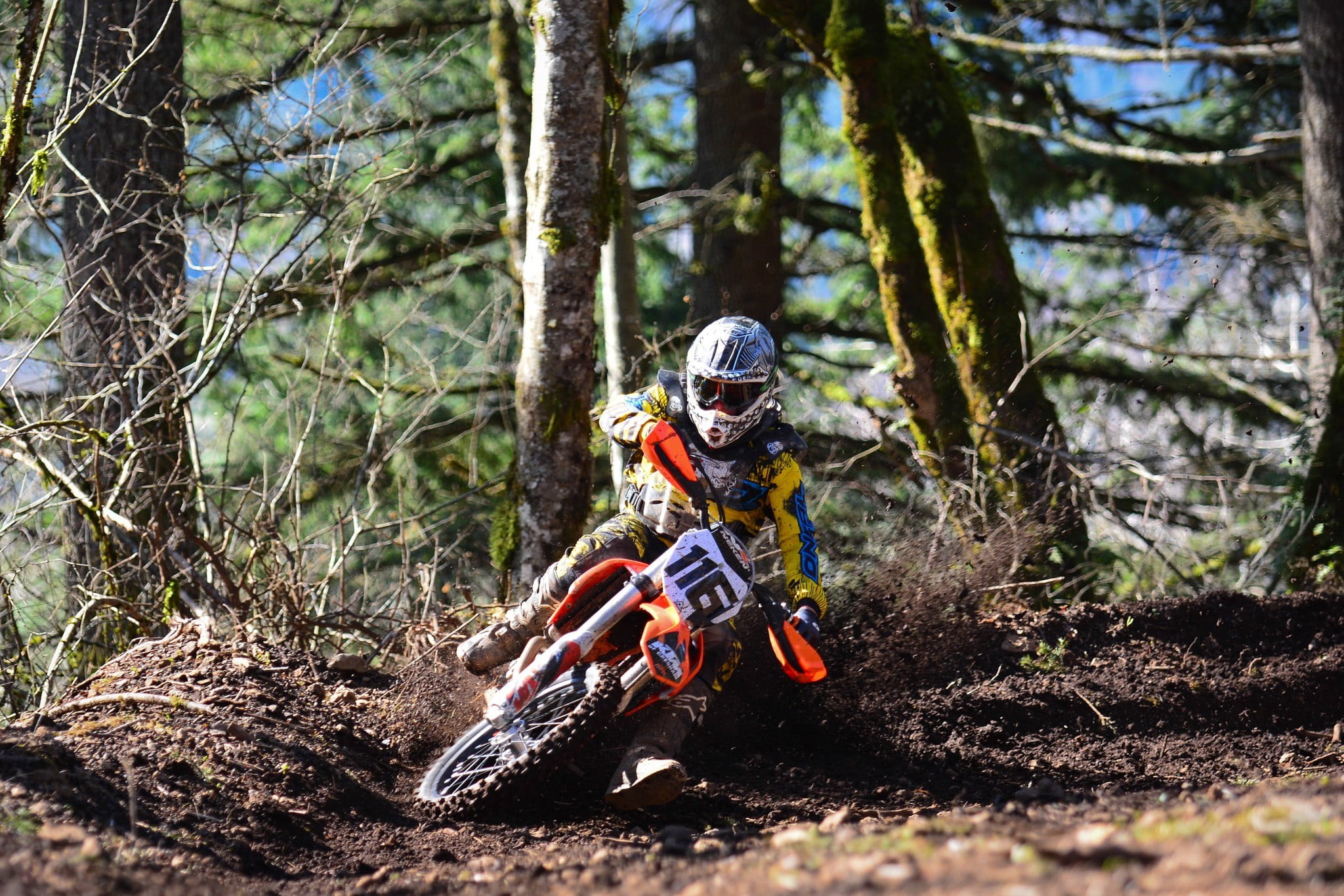 day, nature, leisure activity, 1080P, woodland, forest, one person, tree, child, motorcycle, front view, dirt, trunk, riding, red, real people, plant, HD Wallpaper