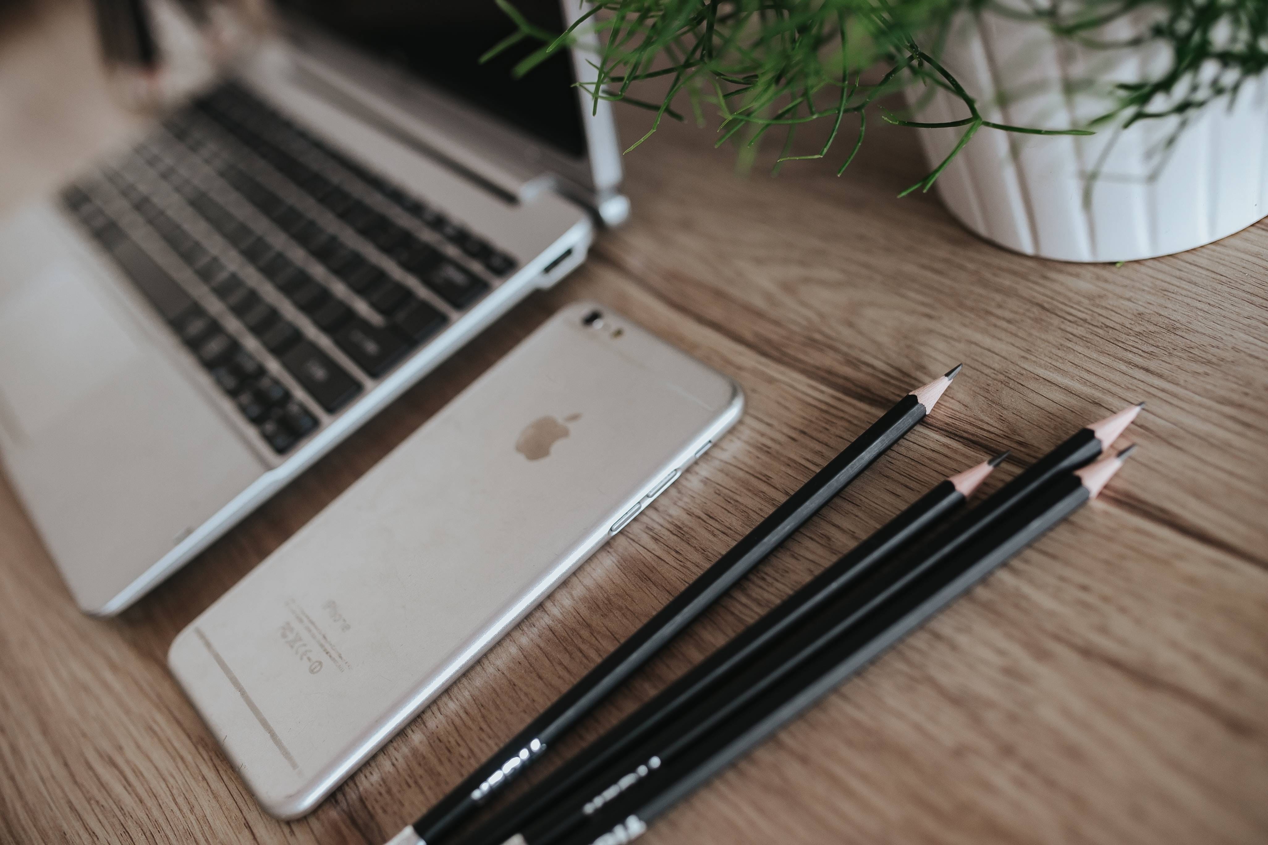 green plant, plant, apple, desk, blank, 4K, paper, furniture, green, wireless technology, communication, close-up, Acer, technology, laptop, indoors, workplace, HD Wallpaper