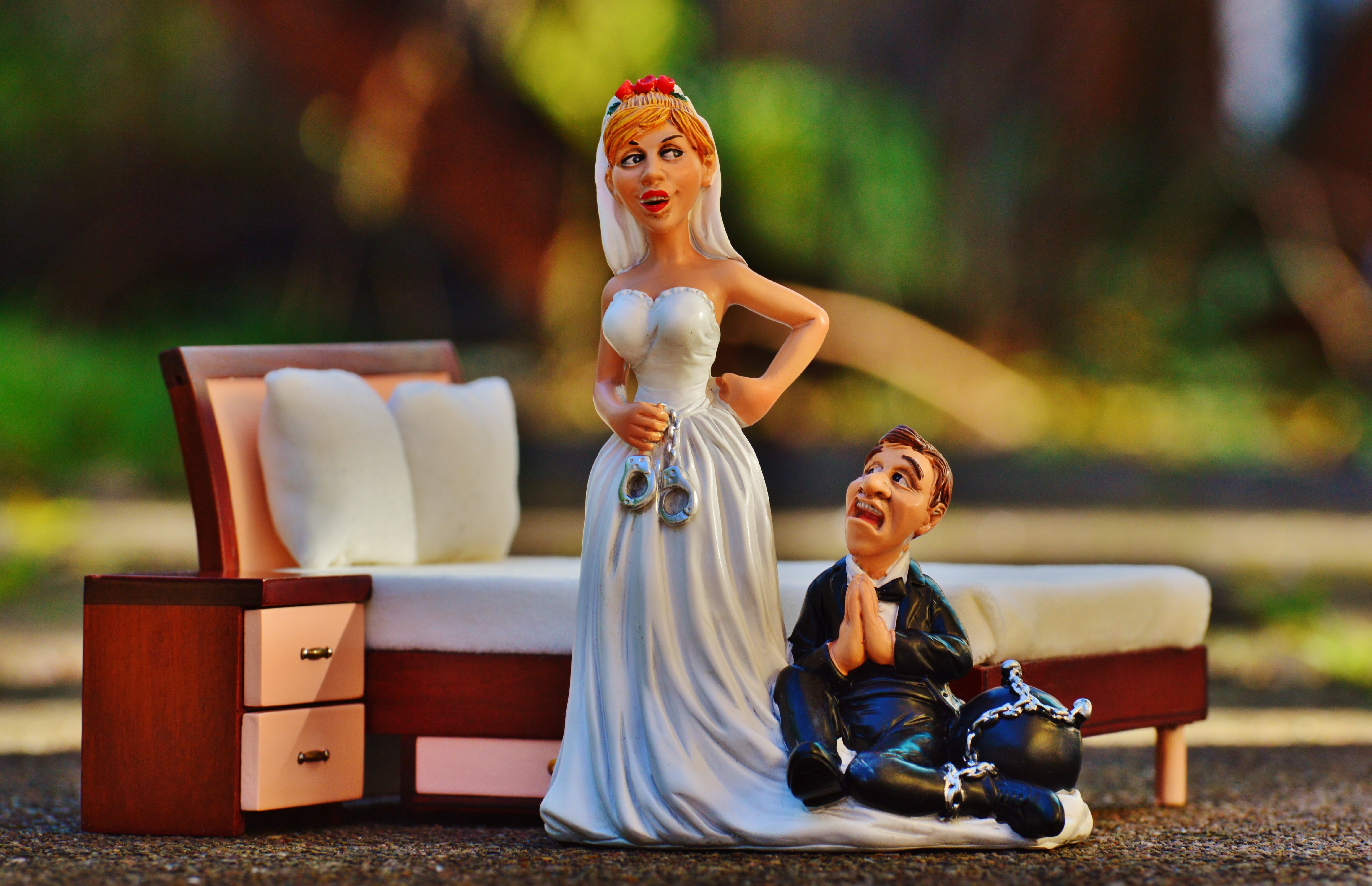 panic, lifestyles, decoration, focus on foreground, groom, nature, family, to force, together, sitting, love, spouses, marriage, wedding, young adult, people, HD Wallpaper
