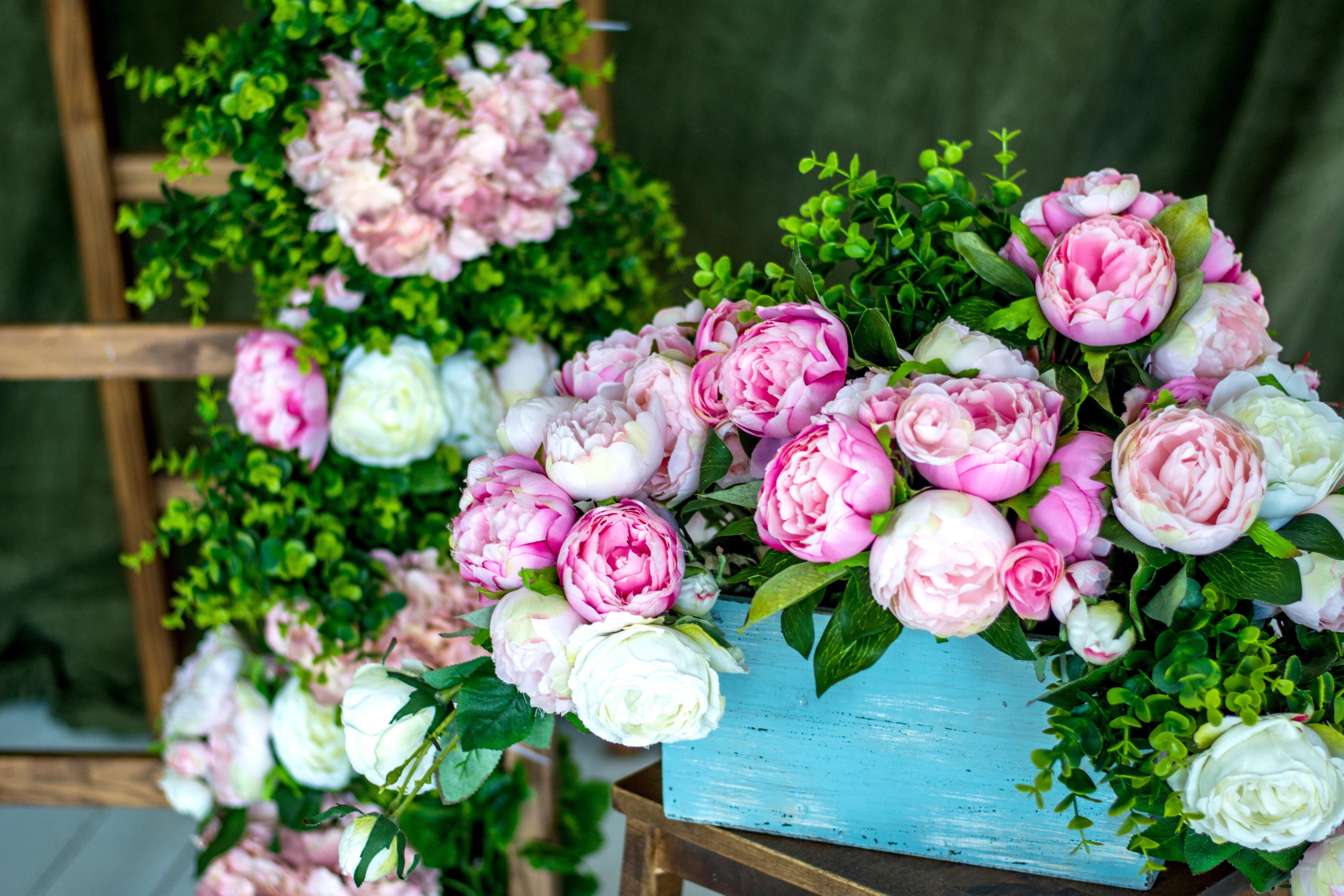 shop, market, floral design, snow, beauty in nature, variation, florist, springtime, bouquet, nature, flower head, flower arrangement, blue, pink color, HD Wallpaper