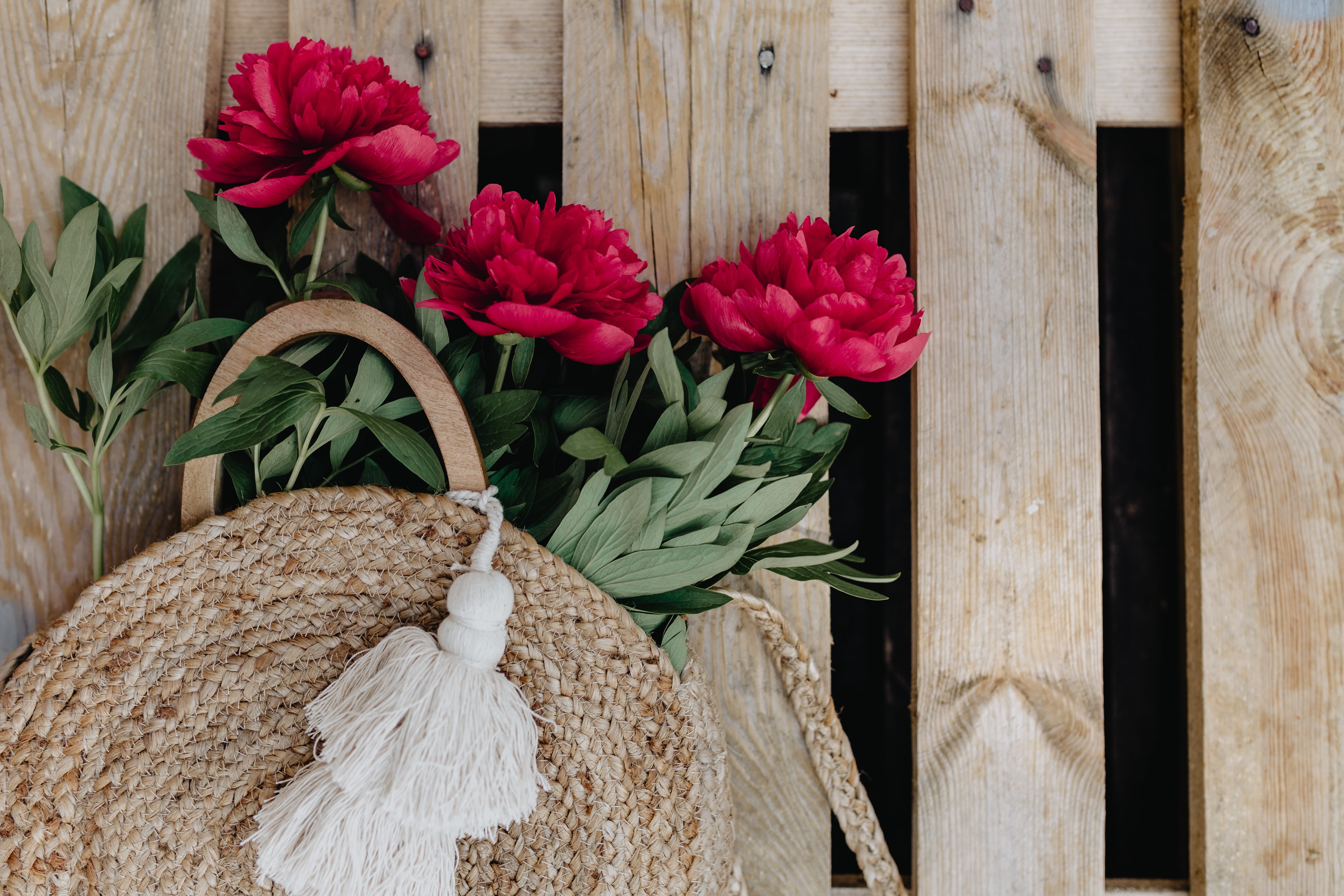 flowering plant, pink color, beauty in nature, freshness, flower head, peony, no people, flower, fragility, raffia basket, leaf, close-up, 5K, zara bag, HD Wallpaper