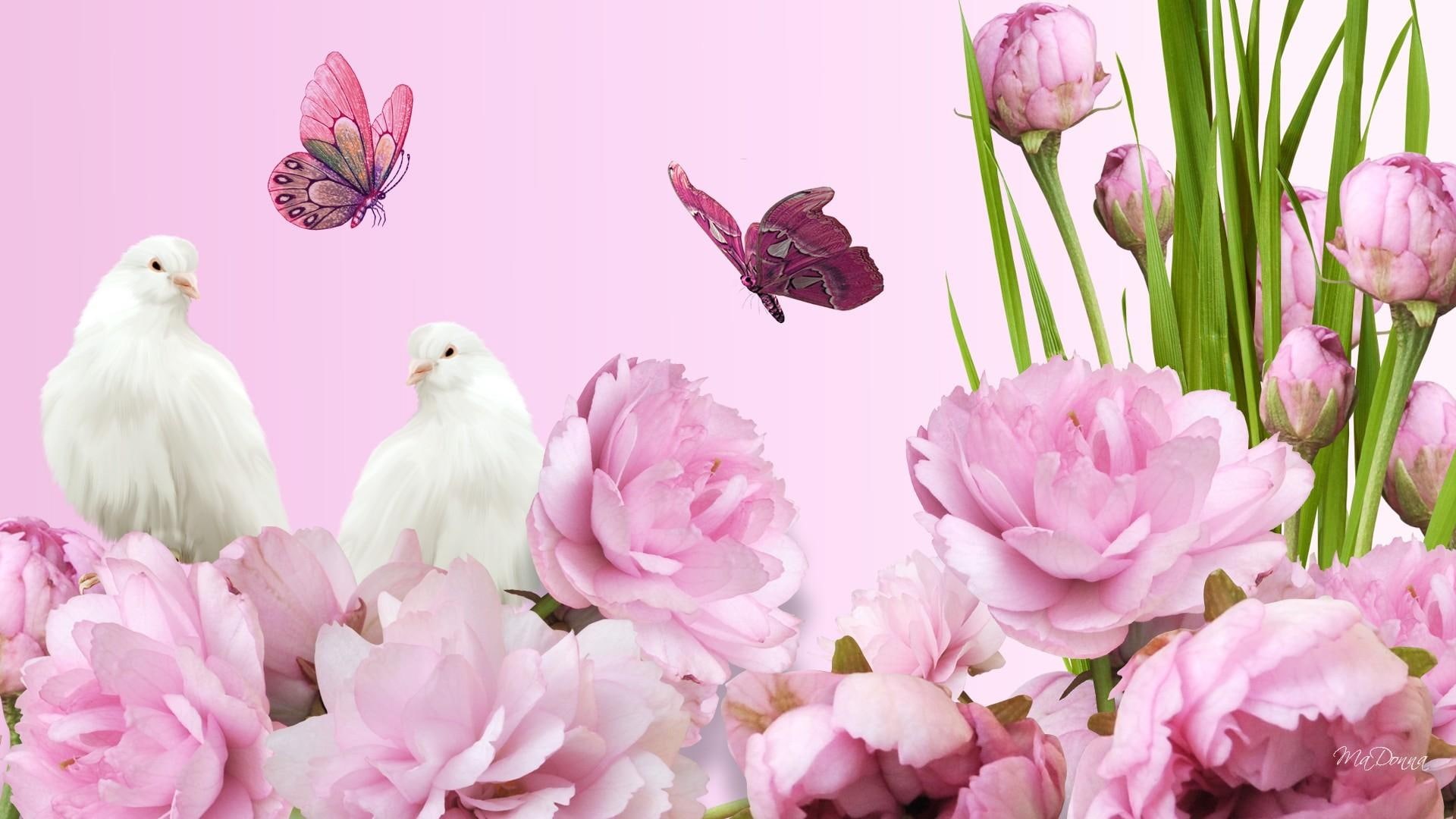 butterfly, peonies, butterflies, pigeon, peaceful, flowers, papillon, aroma, doves, fleu, lush, 1080P, bright, graceful, peony, HD Wallpaper