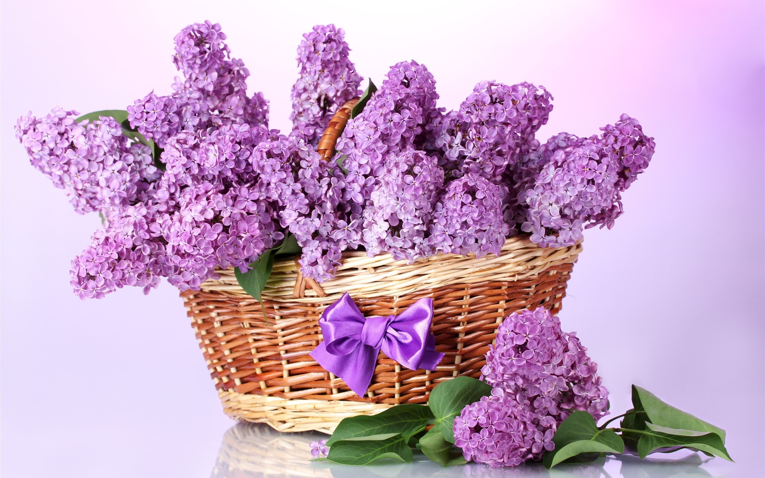 Lilac, Basket, 2K, Purple, Flowers, HD Wallpaper