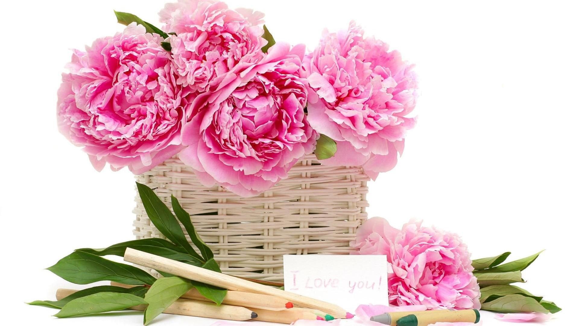flower, nature and landscapes, basket, peonies, lovely, crayons, pink, flowers, i love you, 1080P, HD Wallpaper