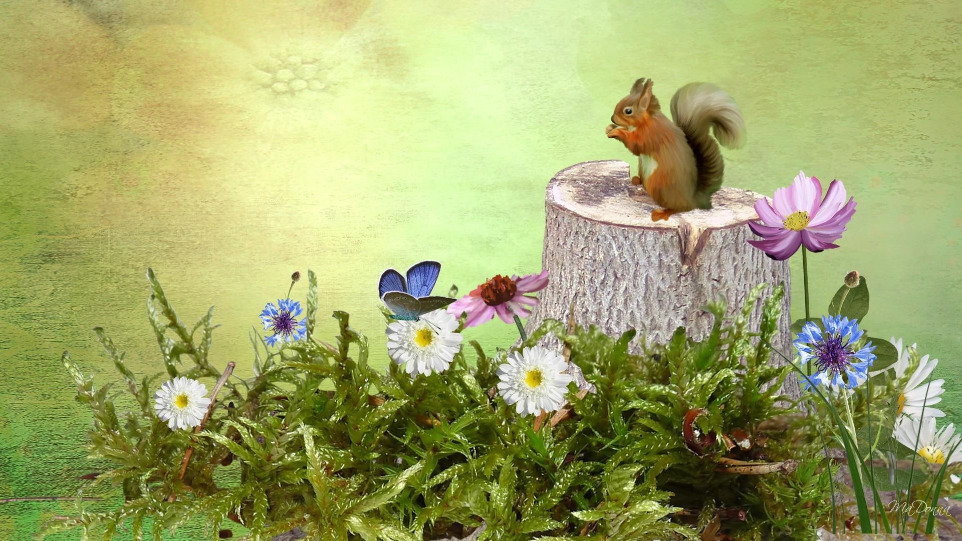 moss, field, tree, firefox persona, 3d and abstract, flowers, summer, squirrel, 1080P, stump, HD Wallpaper