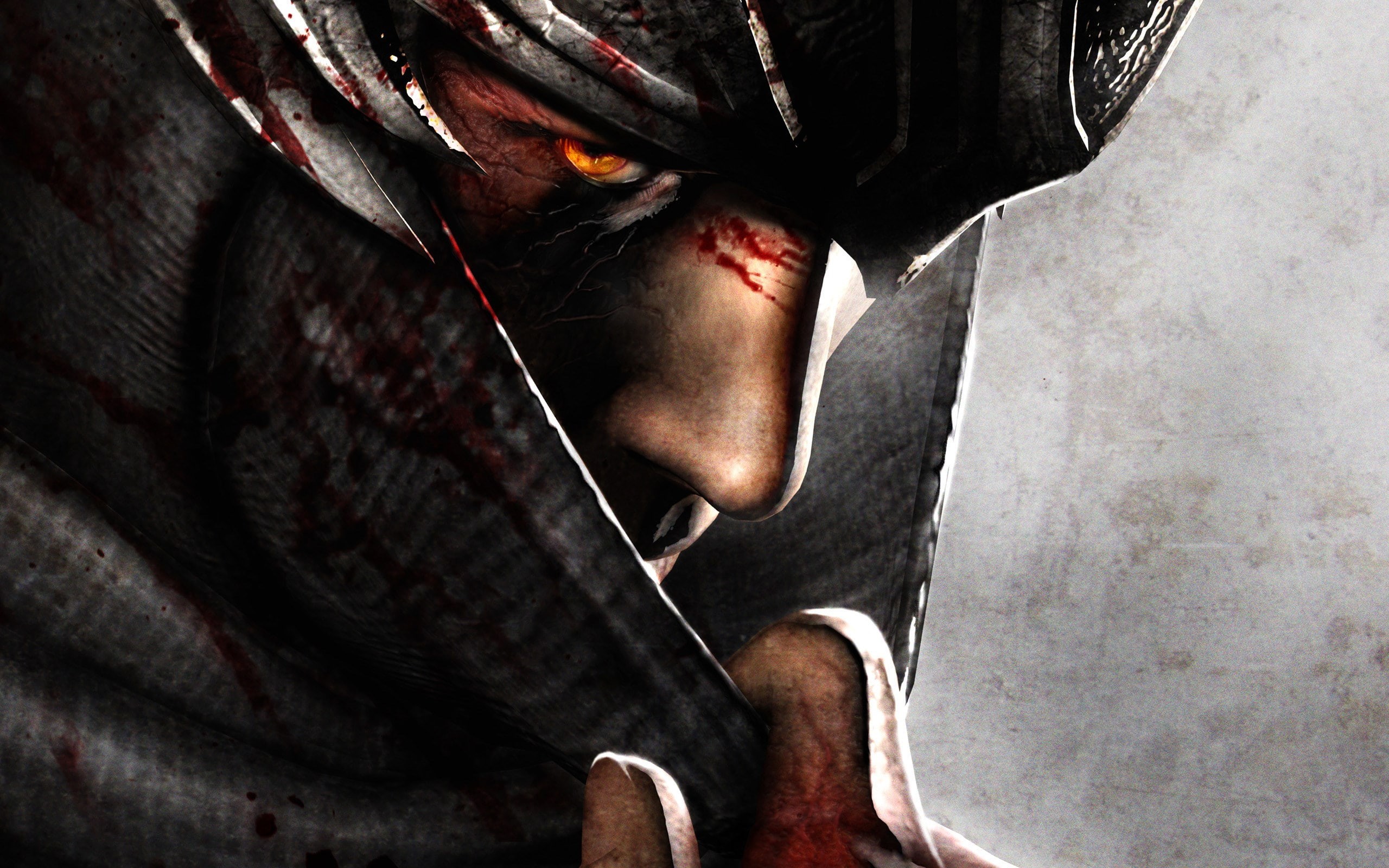 Ninja Gaiden 3, 2K, HD Wallpaper