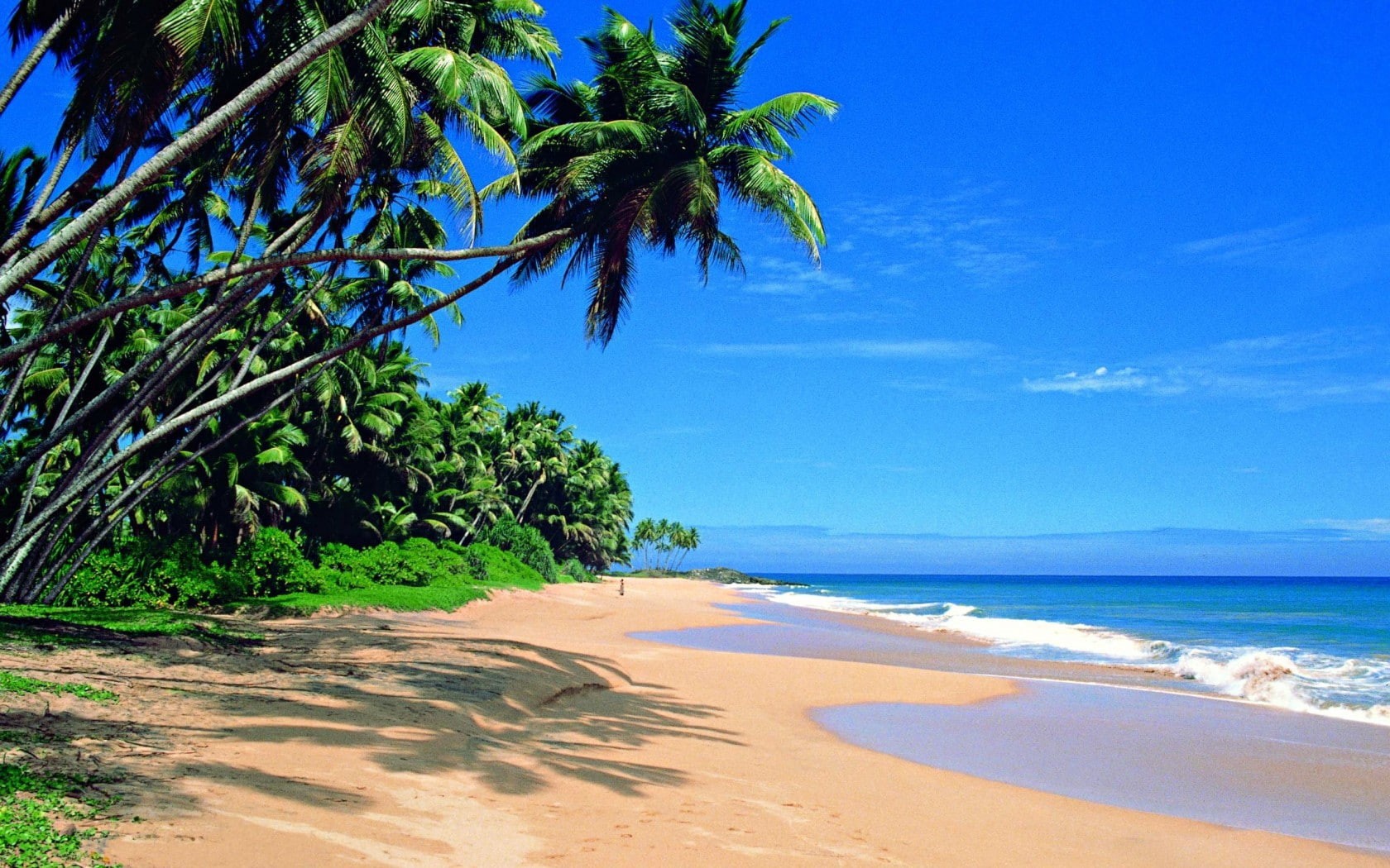 Sri Lanka, sri, beach, palms, Sea, photography, 720P, Ocean, seashore, lanka, HD Wallpaper