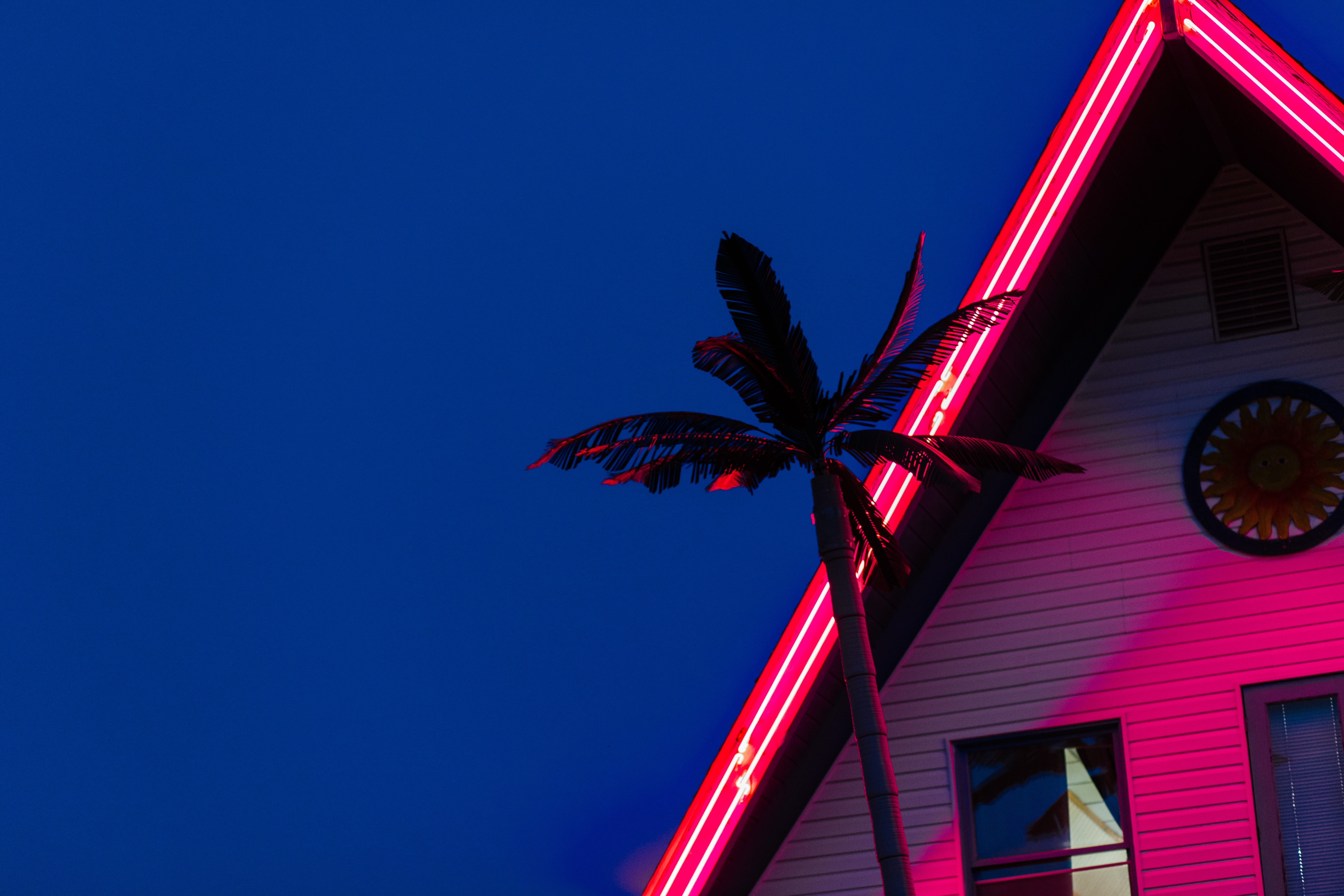 photo, near, house, night, sky, building, tree, no people, 5K, palm tree, building exterior, beauty in nature, pink, nighttime, wooden, color, neon, blue, HD Wallpaper