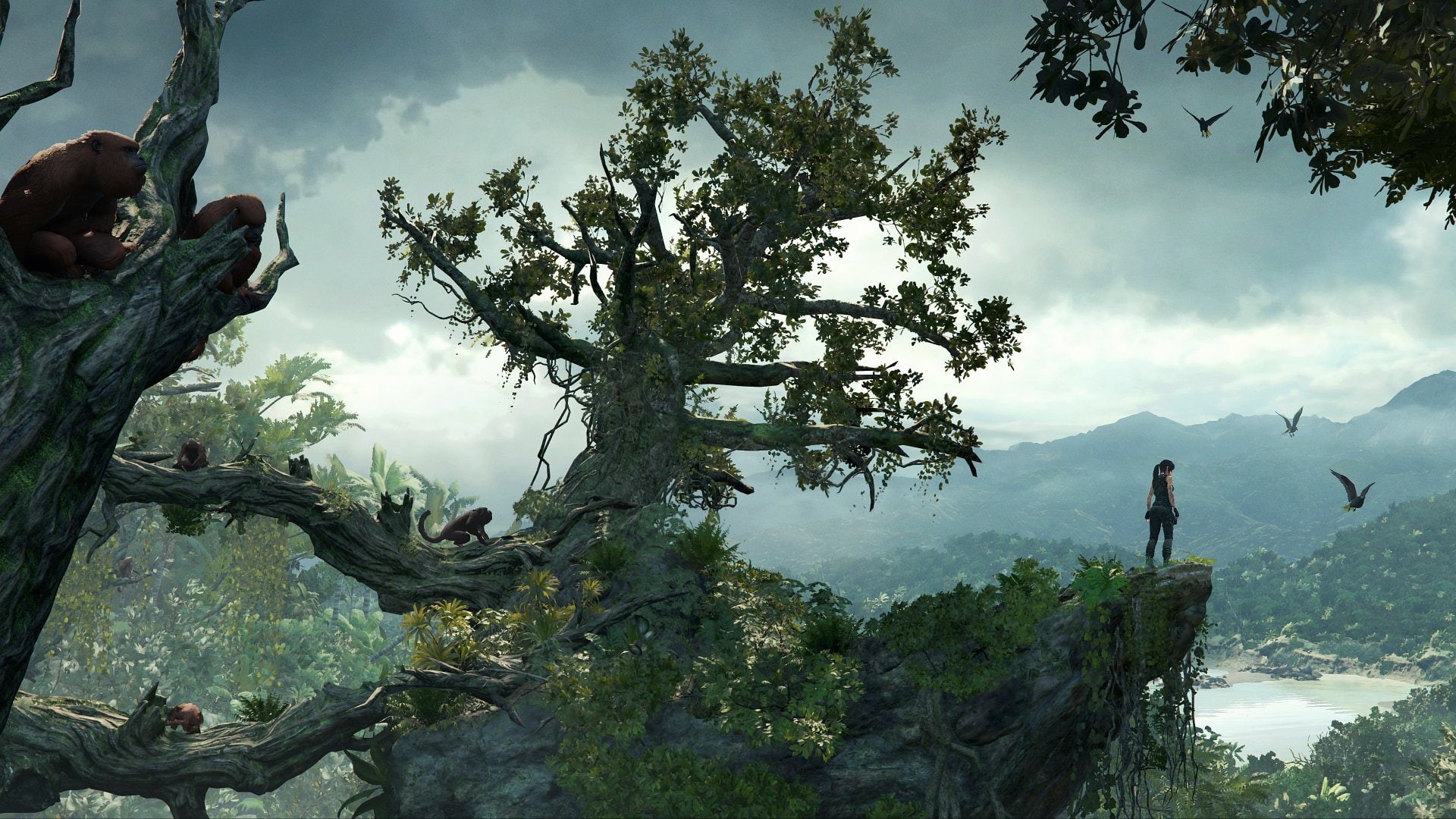 Video Game, Lara Croft, 1080P, Shadow of the Tomb Raider, Tomb Raider, HD Wallpaper