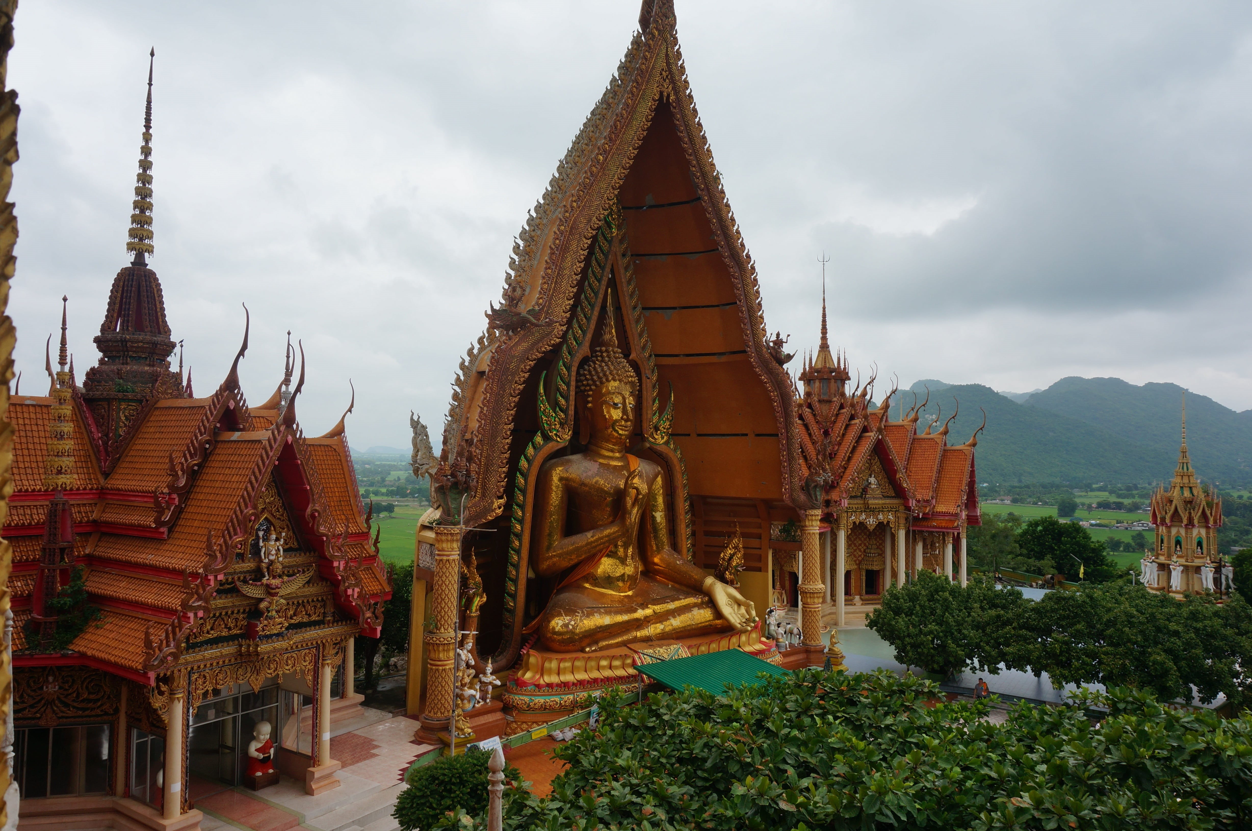buddhism, travel destinations, ornate, buddha, asia, tiger cave temple, famous, faith, tham, landmark, nature, sua, spirituality, plant, gold colored, belief, HD Wallpaper