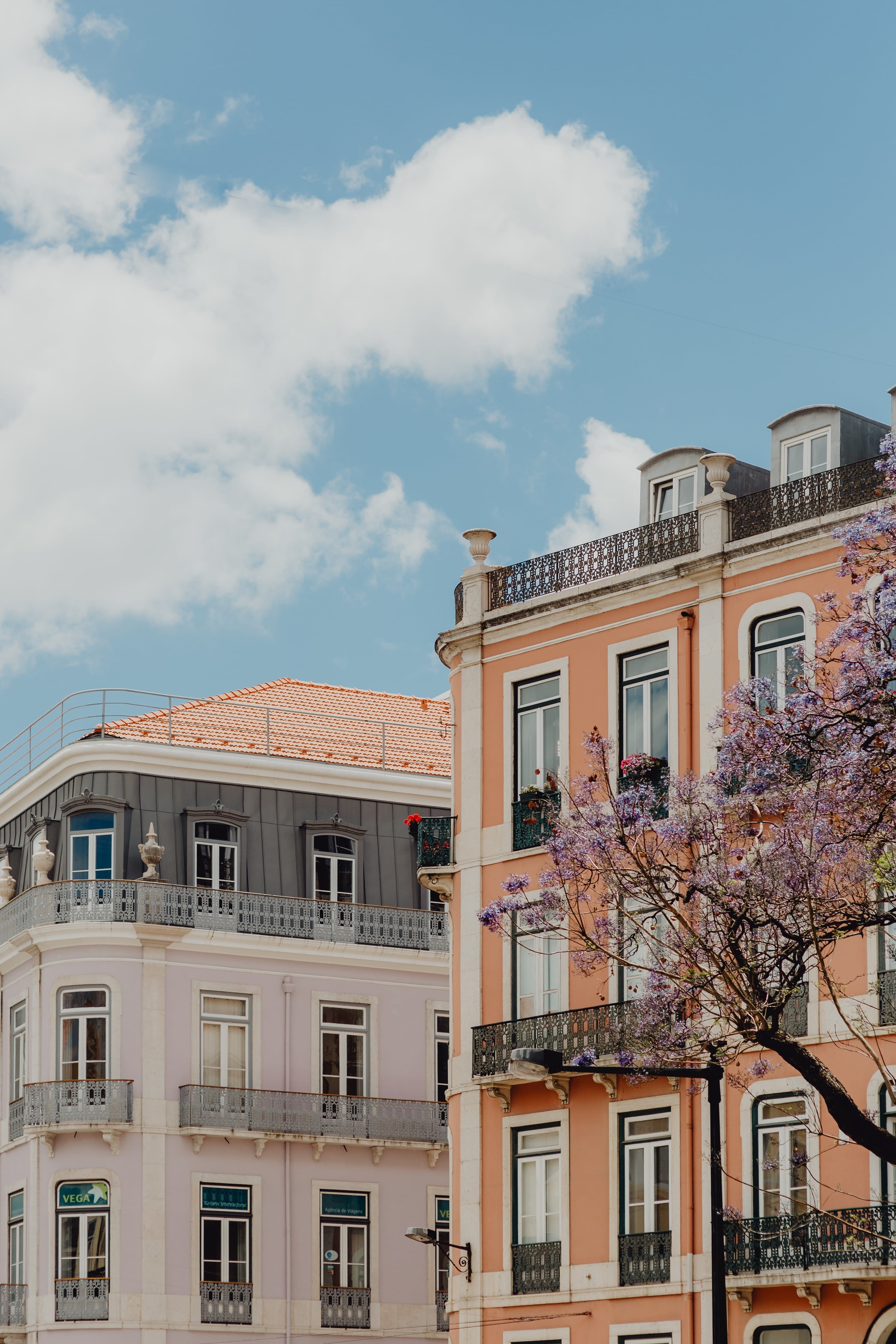 building, window, portugal, apartment, nature, tree, residential district, june, built structure, architecture, colorful, lisbon, plant, day, city, sky, Phone HD Wallpaper