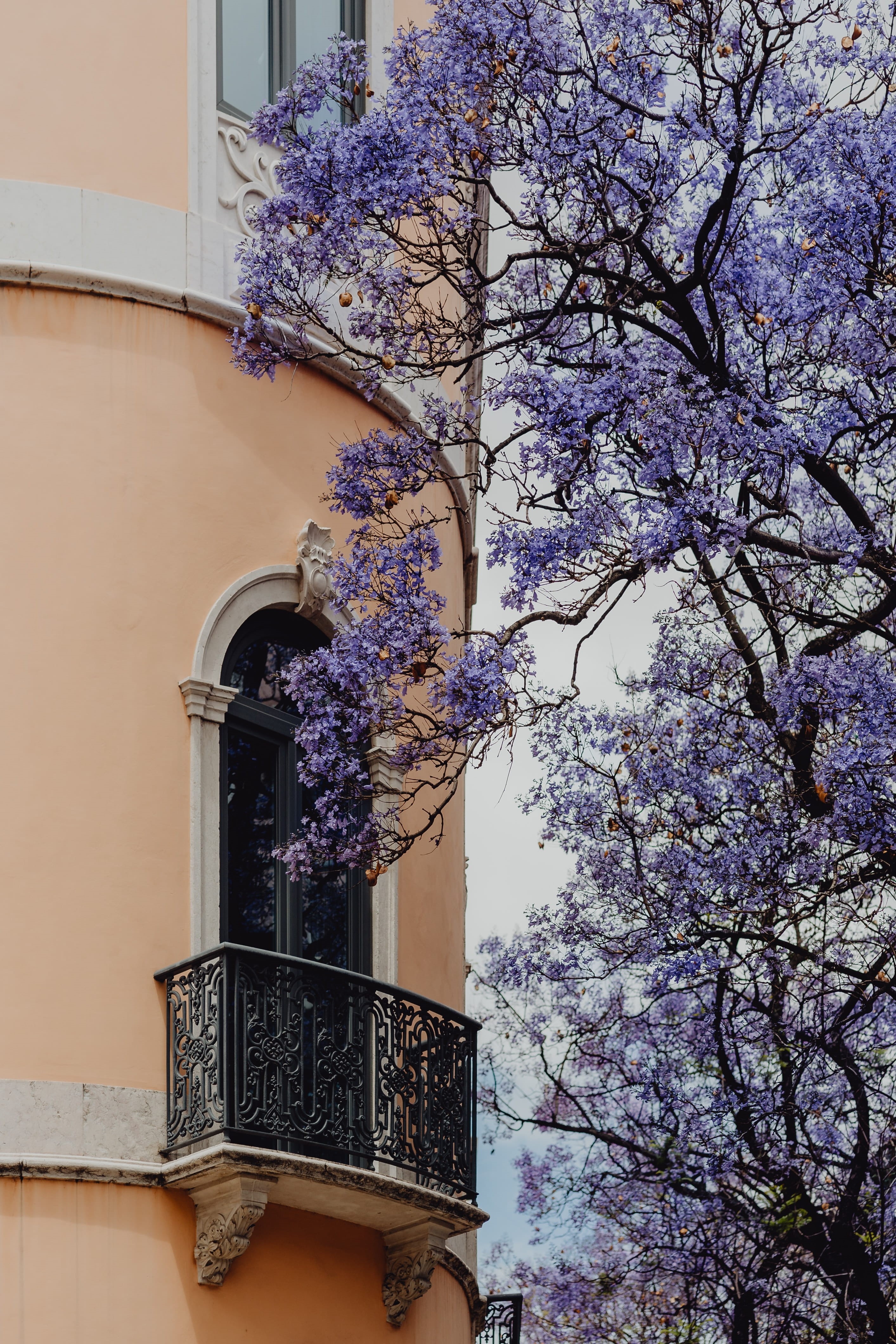 colorful, outdoors, no people, june, building, cityscape, flower, facade, portugal, beauty in nature, buildings, growth, 4K, Europe, architecture, building exterior, Phone HD Wallpaper