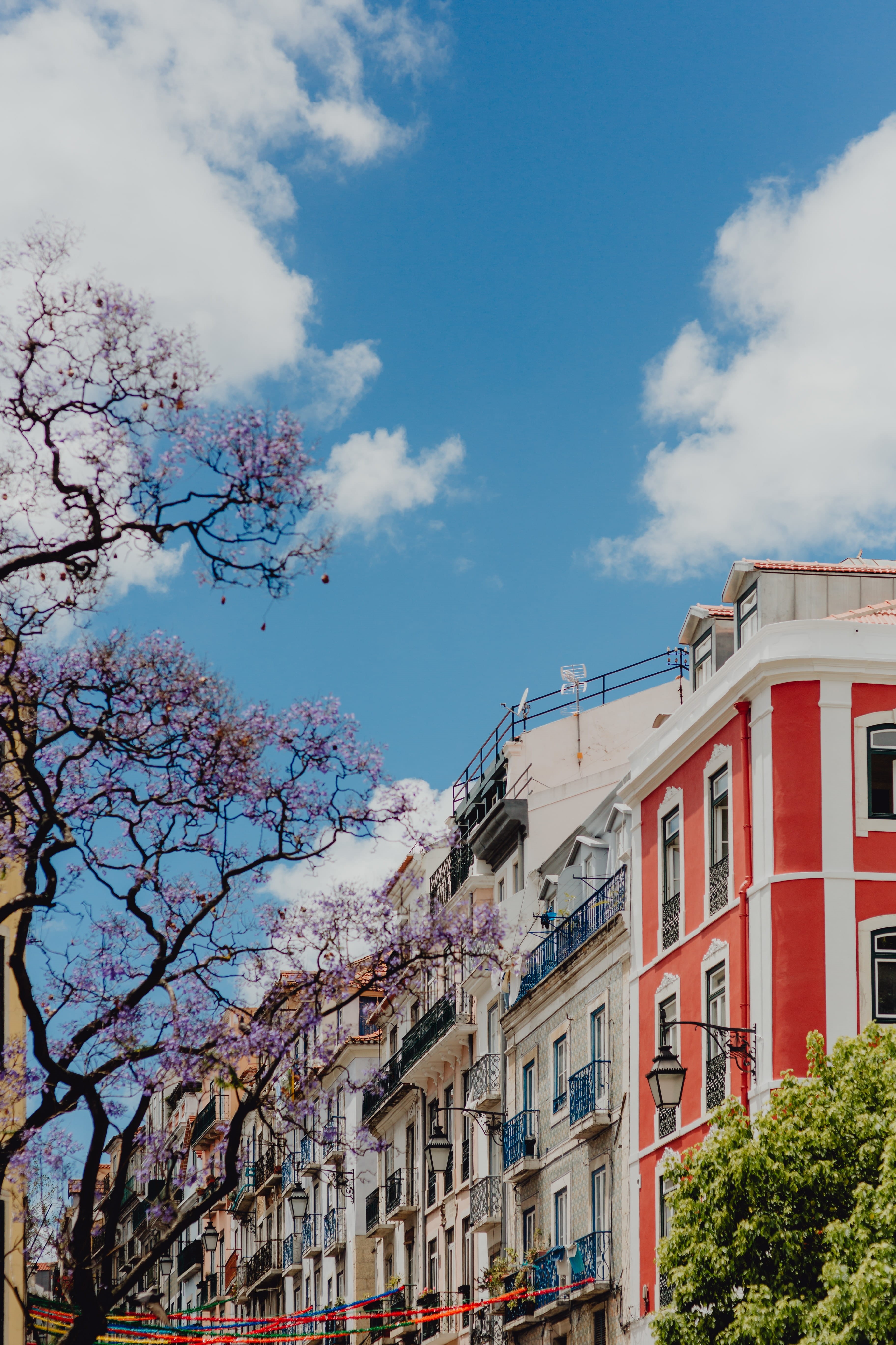 lisboa, june, no people, low angle view, tree, row house, window, town, facade, colorful, building, residential district, outdoors, Europe, cityscape, portugal, Phone HD Wallpaper