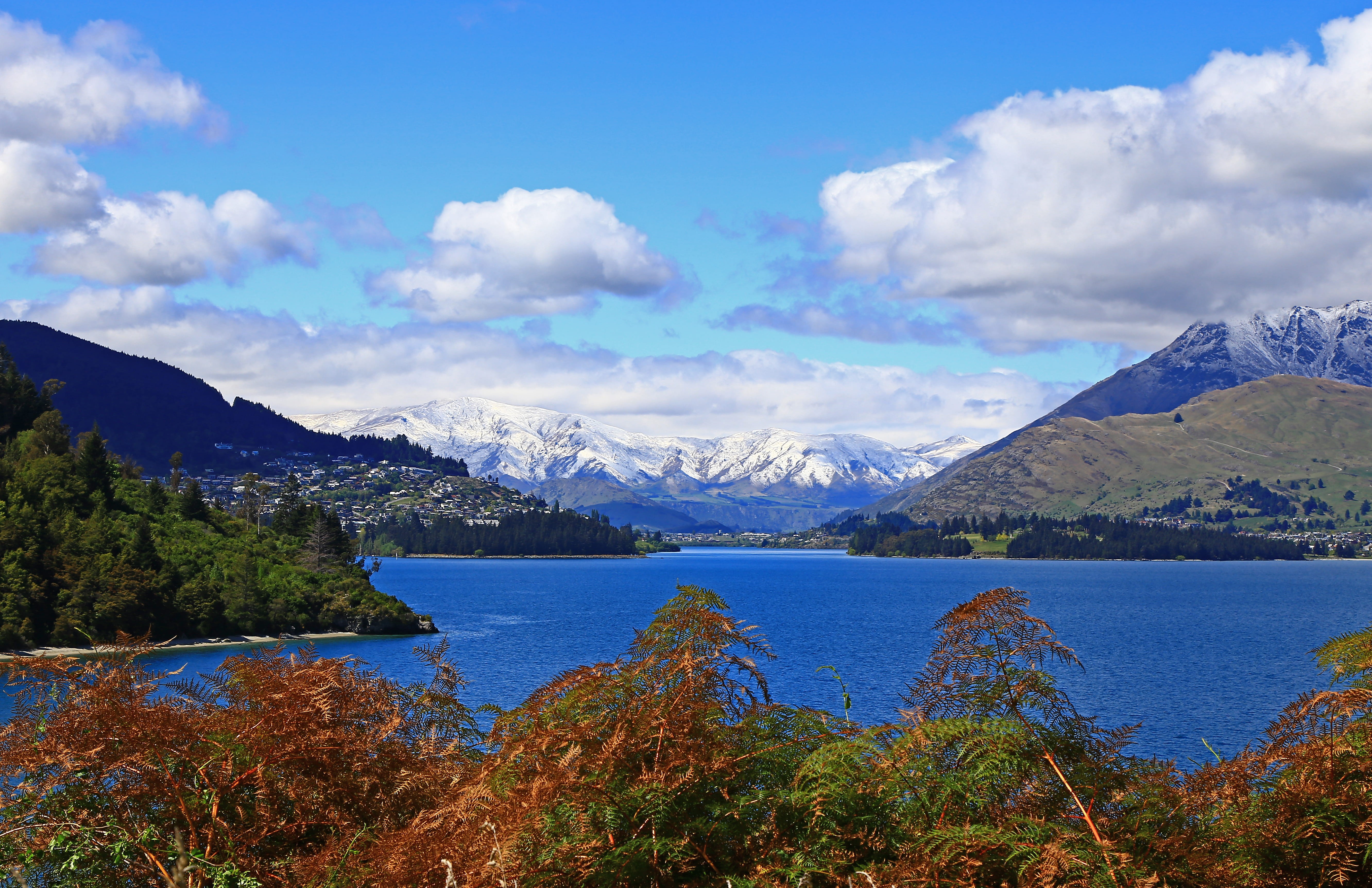 no people, tree, nature, houses bracken, mountain, town, view, queenstown, snow, non-urban scene, new zealand, mountain range, mountains, road, 5K, cloud - sky, HD Wallpaper