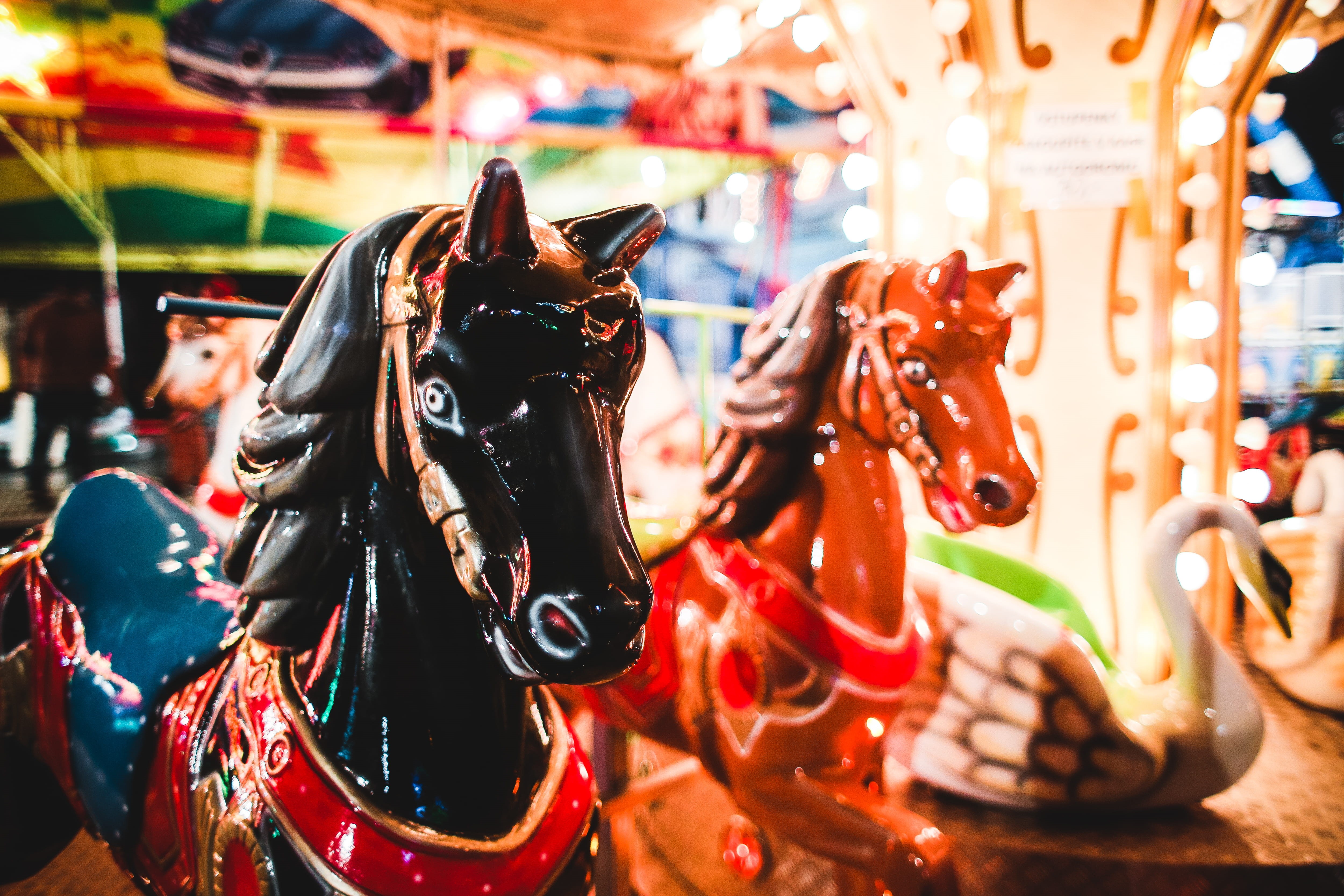 animal representation, no people, funfair, amusement park, night, close-up, carousels, arts culture and entertainment, livestock, 4K, mammal, carousel horses, HD Wallpaper