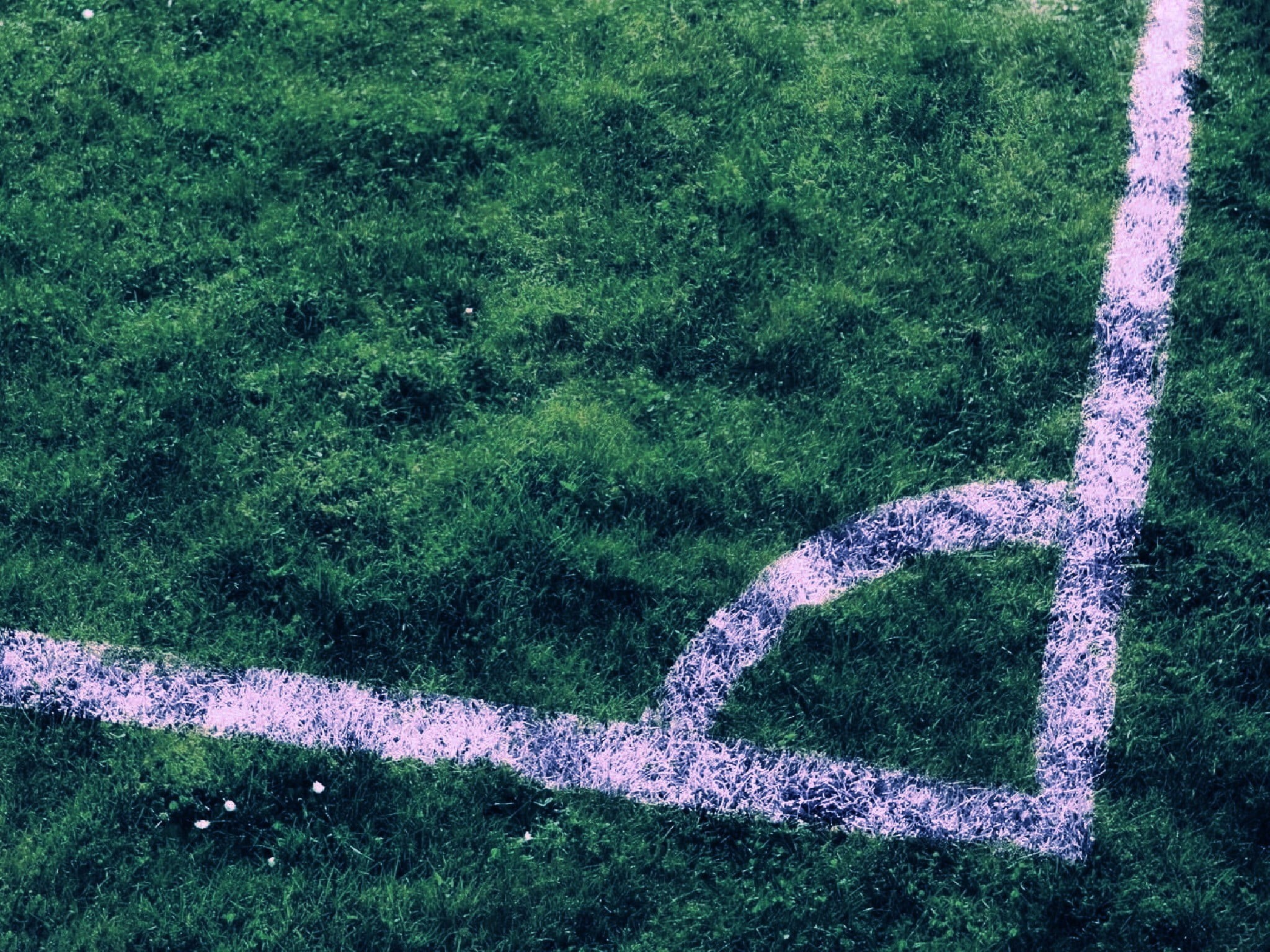 green color, sunlight, 1080P, purple, high angle view, green, land, plant, rug, chalk drawing, day, sport, positive emotion, growth, footpath, white color, HD Wallpaper