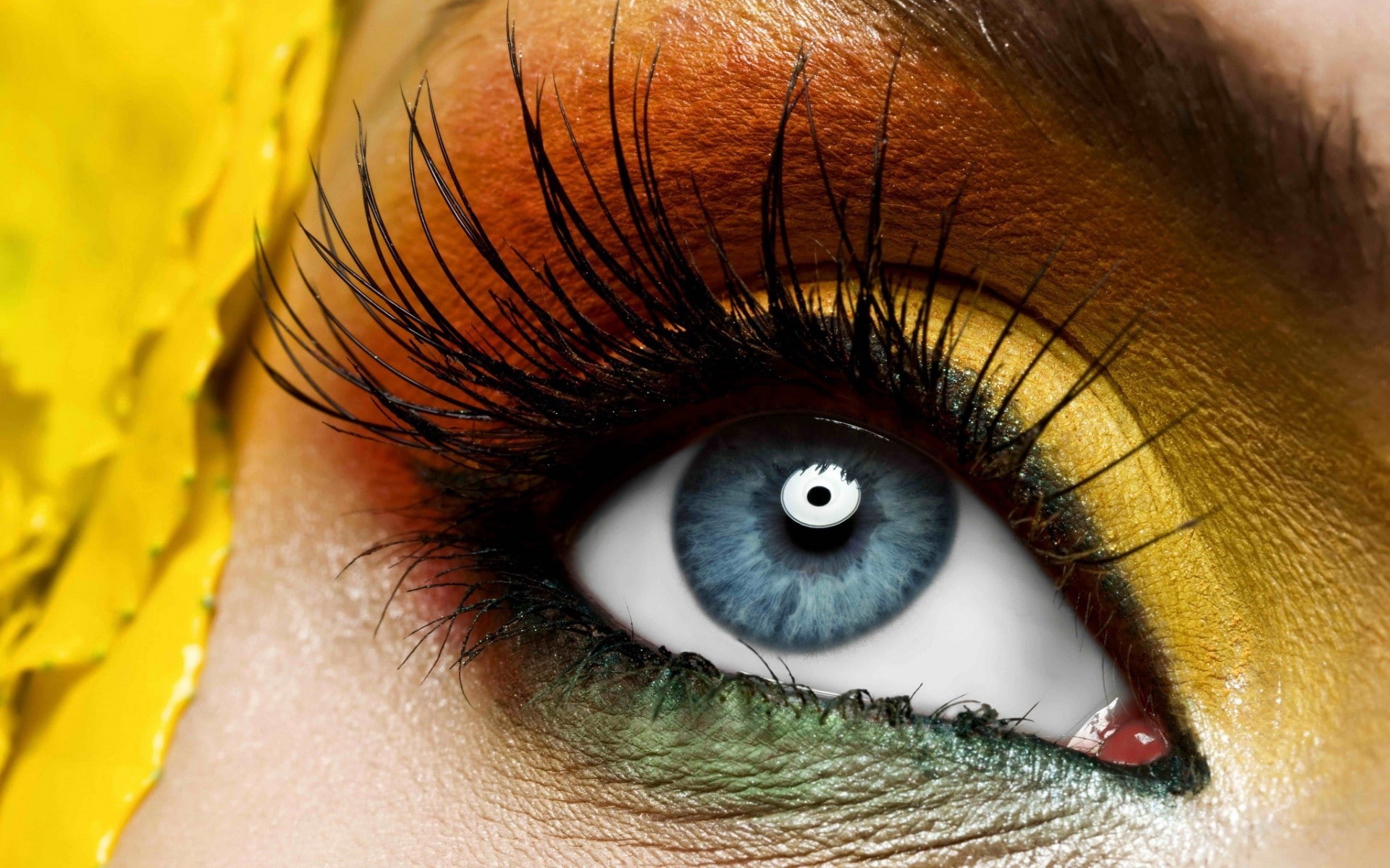 1080P, makeup, women, eyes, closeup, HD Wallpaper