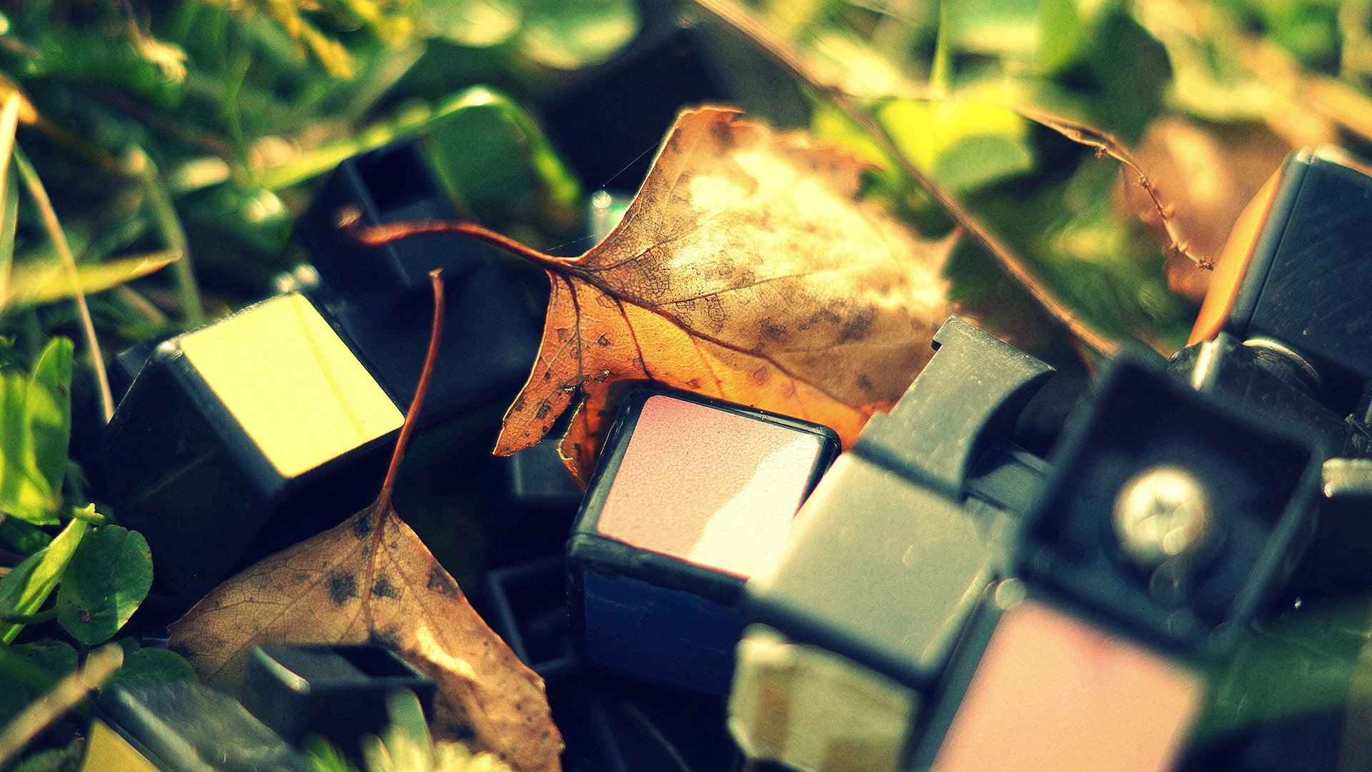 leaves, plants, Rubiks Cube, 1080P, HD Wallpaper