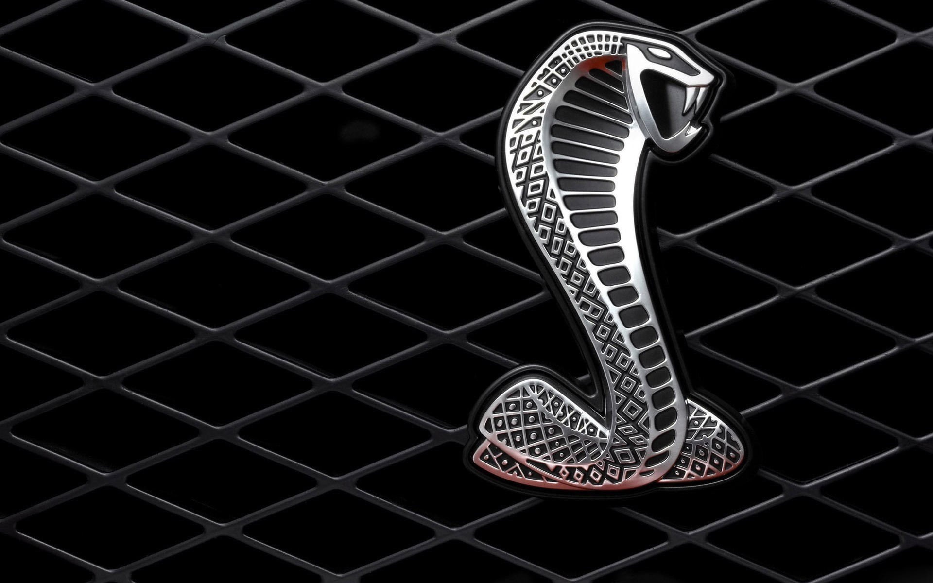 1080P, shelby, hd, mustang, cars, cobra, ford, HD Wallpaper