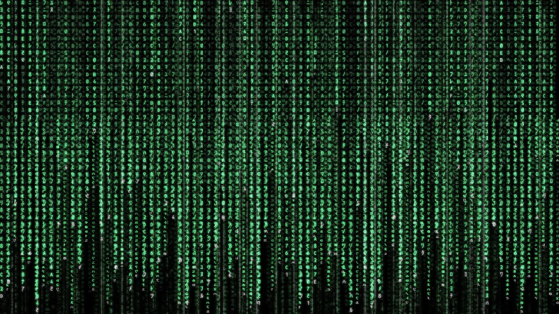 pattern, kanji, computer Software, green color, illuminated, coding, global communications, digitally Generated Image, abstract, connection, HD Wallpaper