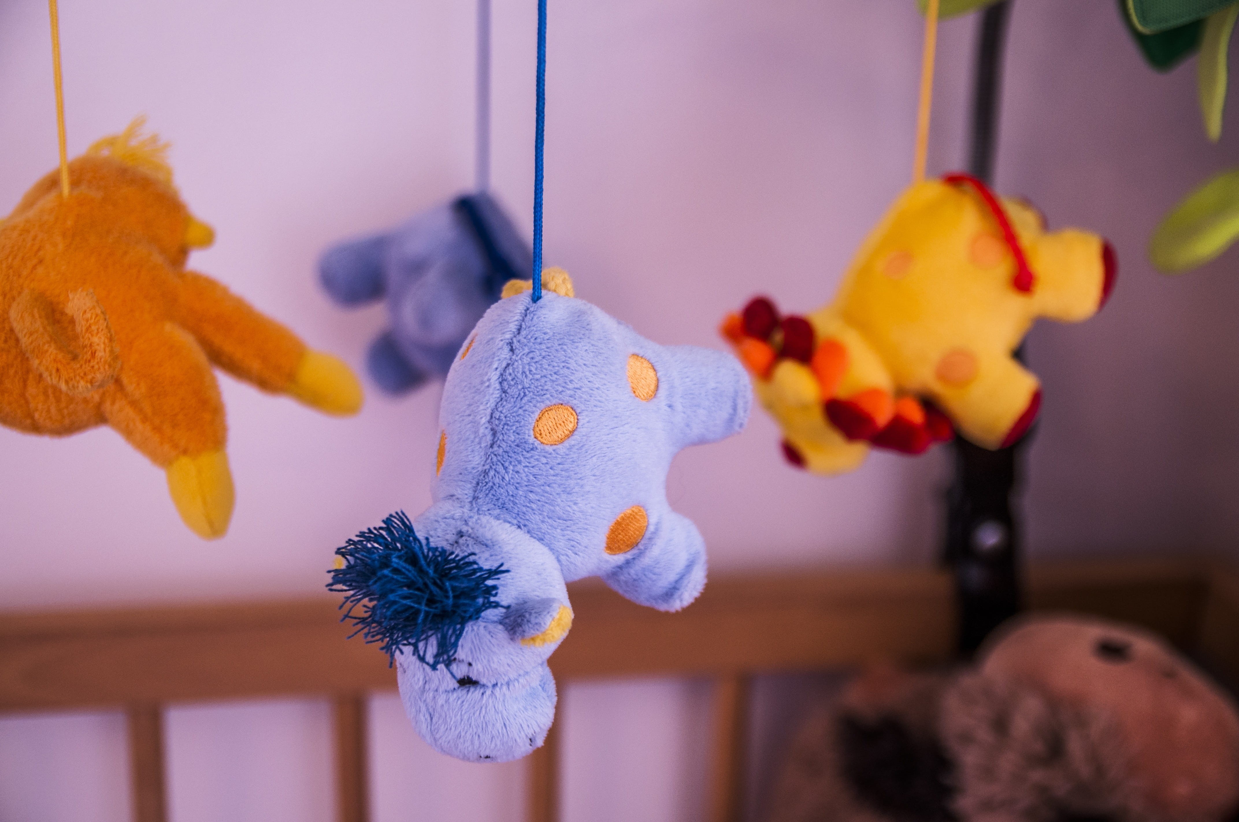 assorted, hanging, home interior, stuffed toy, activity, 4K, creativity, holiday, children, plaything, animal representation, tree, animal, s, toy, celebration, HD Wallpaper