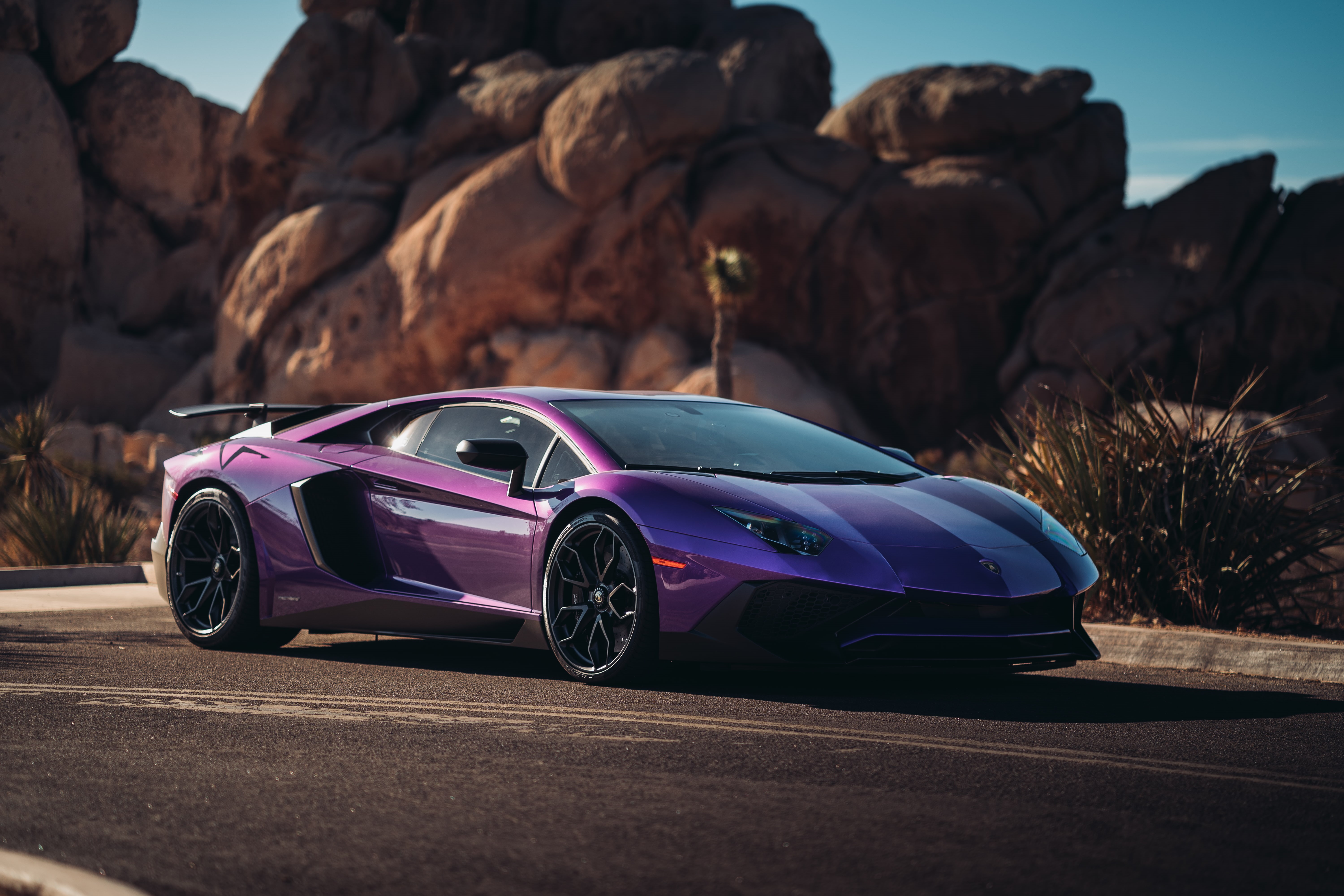 5K, Purple, 5K, Lamborghini Aventador SuperVeloce Coupe, HD Wallpaper