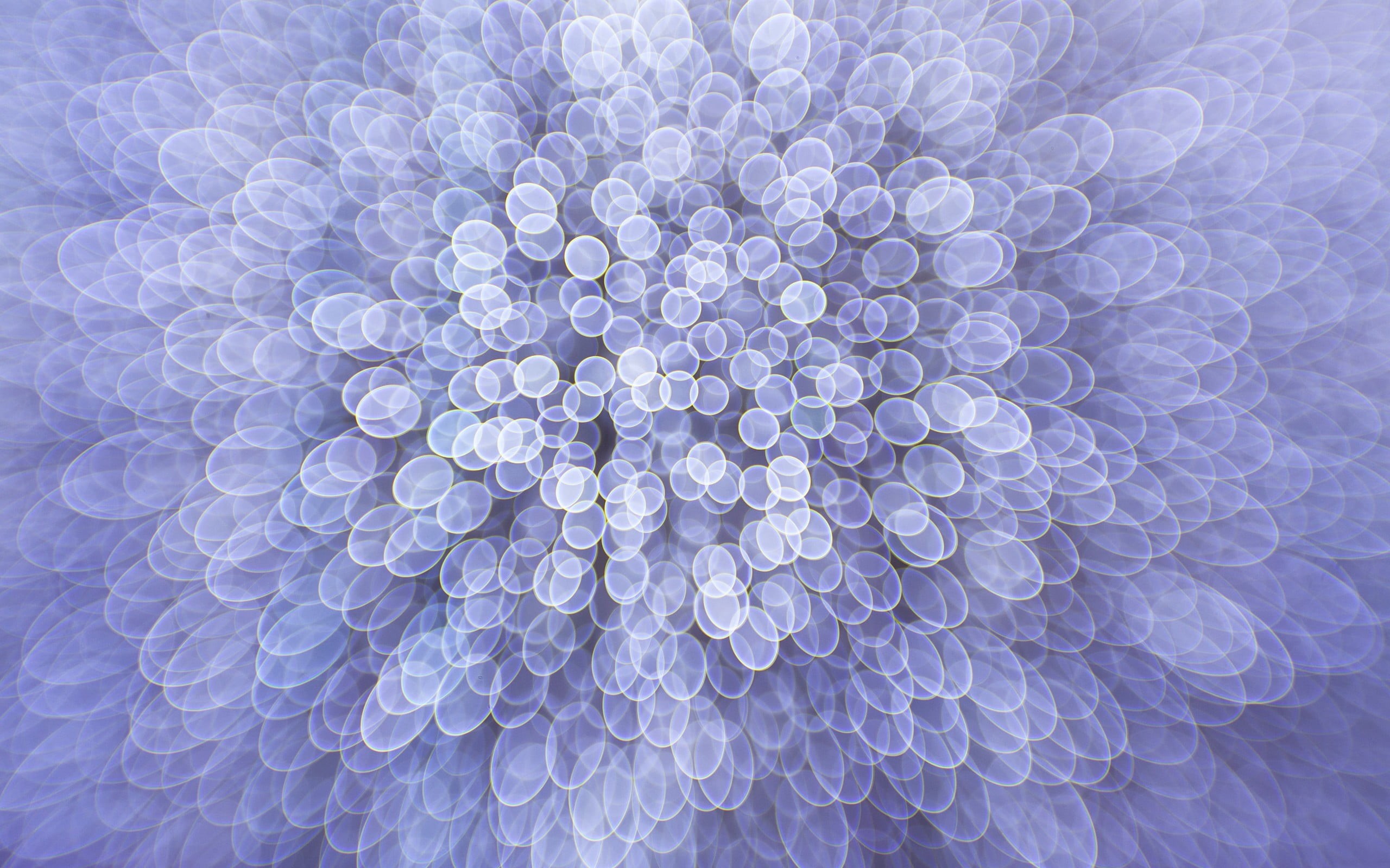 fractal, large group of objects, 2K, full frame, bubble, pattern, indoors, extreme close-up, painting, softness, geometric shape, no people, nature, vulnerability, HD Wallpaper