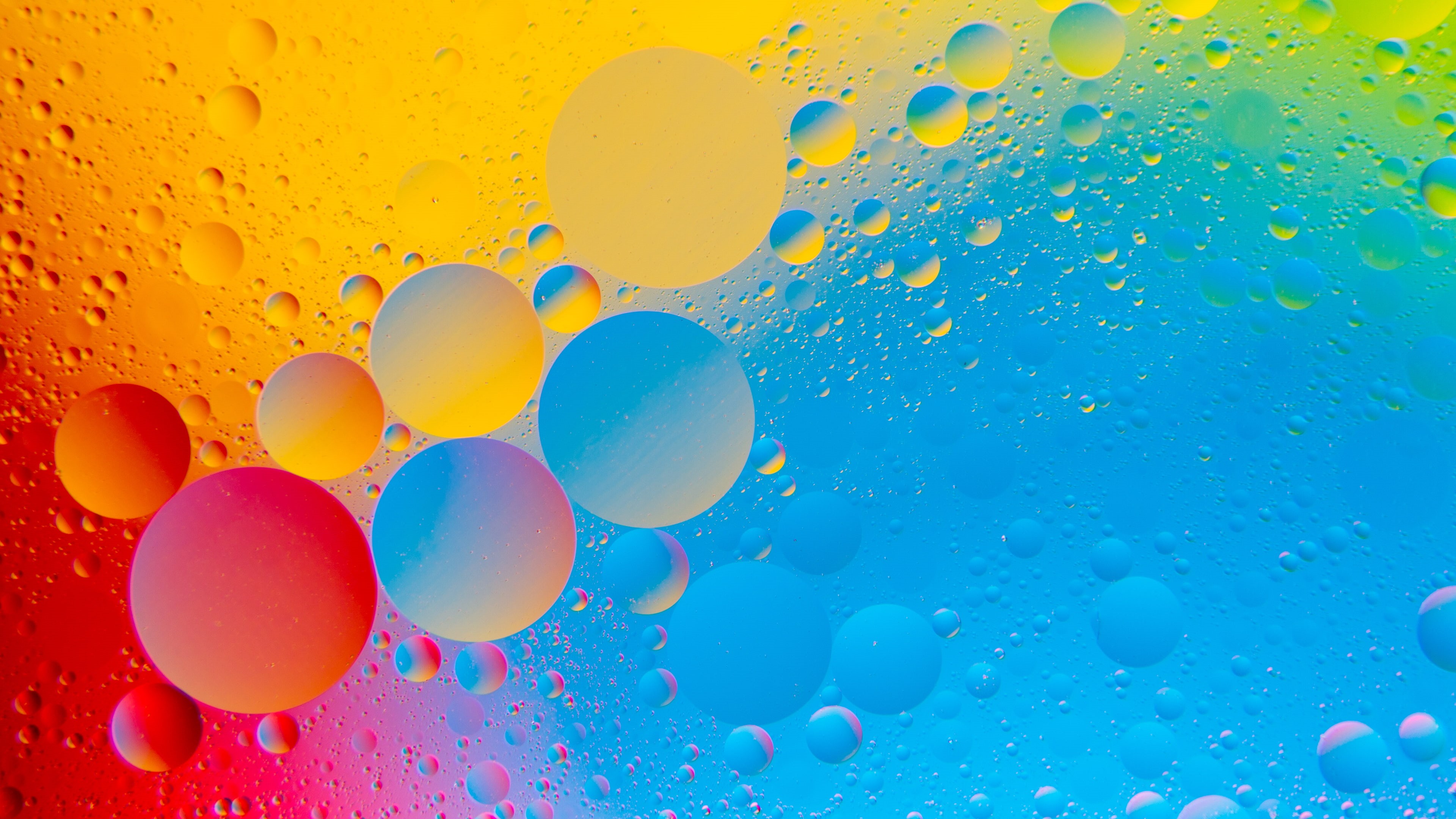 Colorful, Bubbles, 4K, Circles, 4K, HD Wallpaper