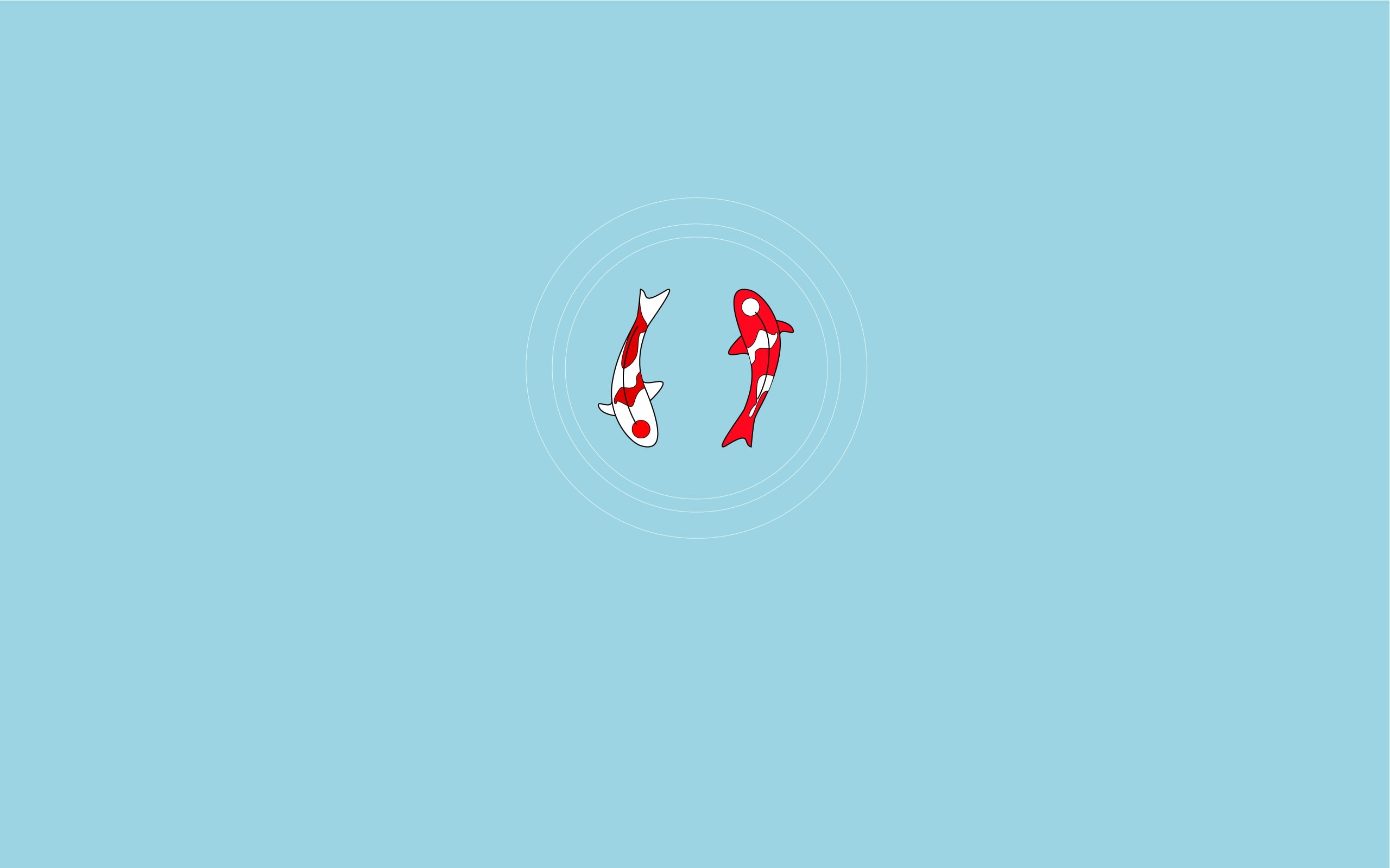2K, copy space, circle, blue background, colored background, koi, studio shot, creativity, white color, close-up, representation, human representation, HD Wallpaper