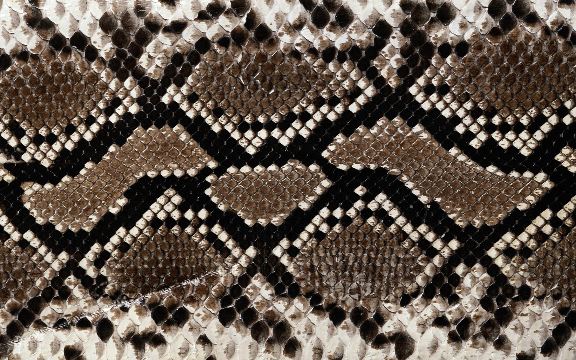 background, no People, close-up, snake, old-fashioned, leather, full frame, material, 1080P, art and craft, abstract, fashion, directly above, garment, HD Wallpaper