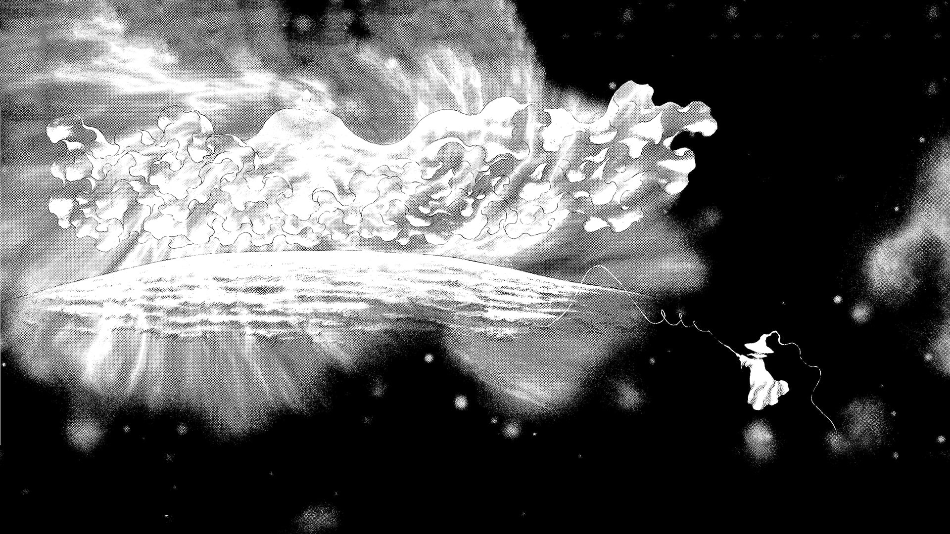 black, selective focus, water, gray, beauty in nature, nature, underwater, outdoors, sea, no people, close-up, petal, growth, 1080P, digital, Schierke, HD Wallpaper