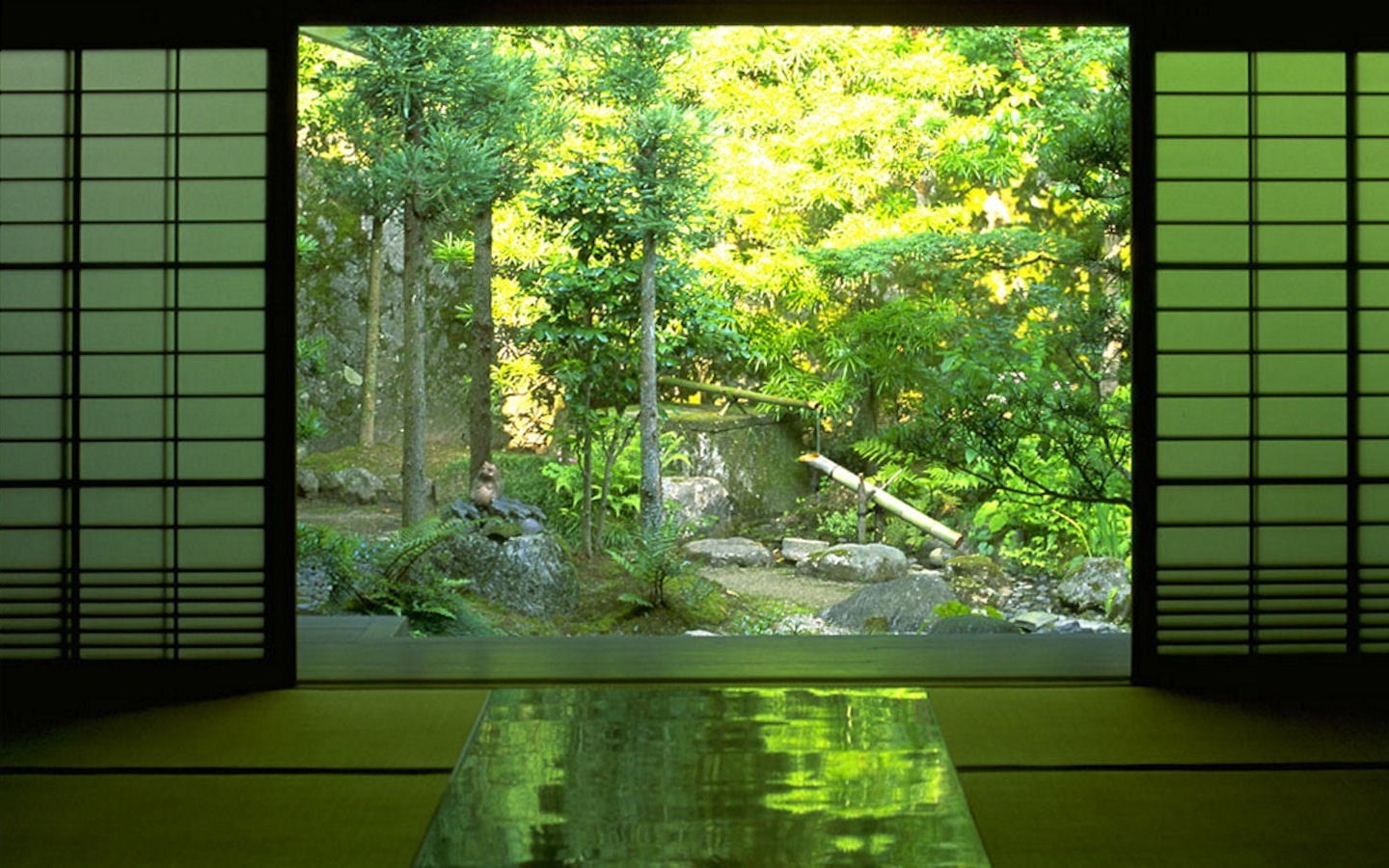 built structure, plant, day, forest, green color, tree, nature, 720P, growth, zen, outdoors, front or back yard, house, sunlight, transparent, window, HD Wallpaper