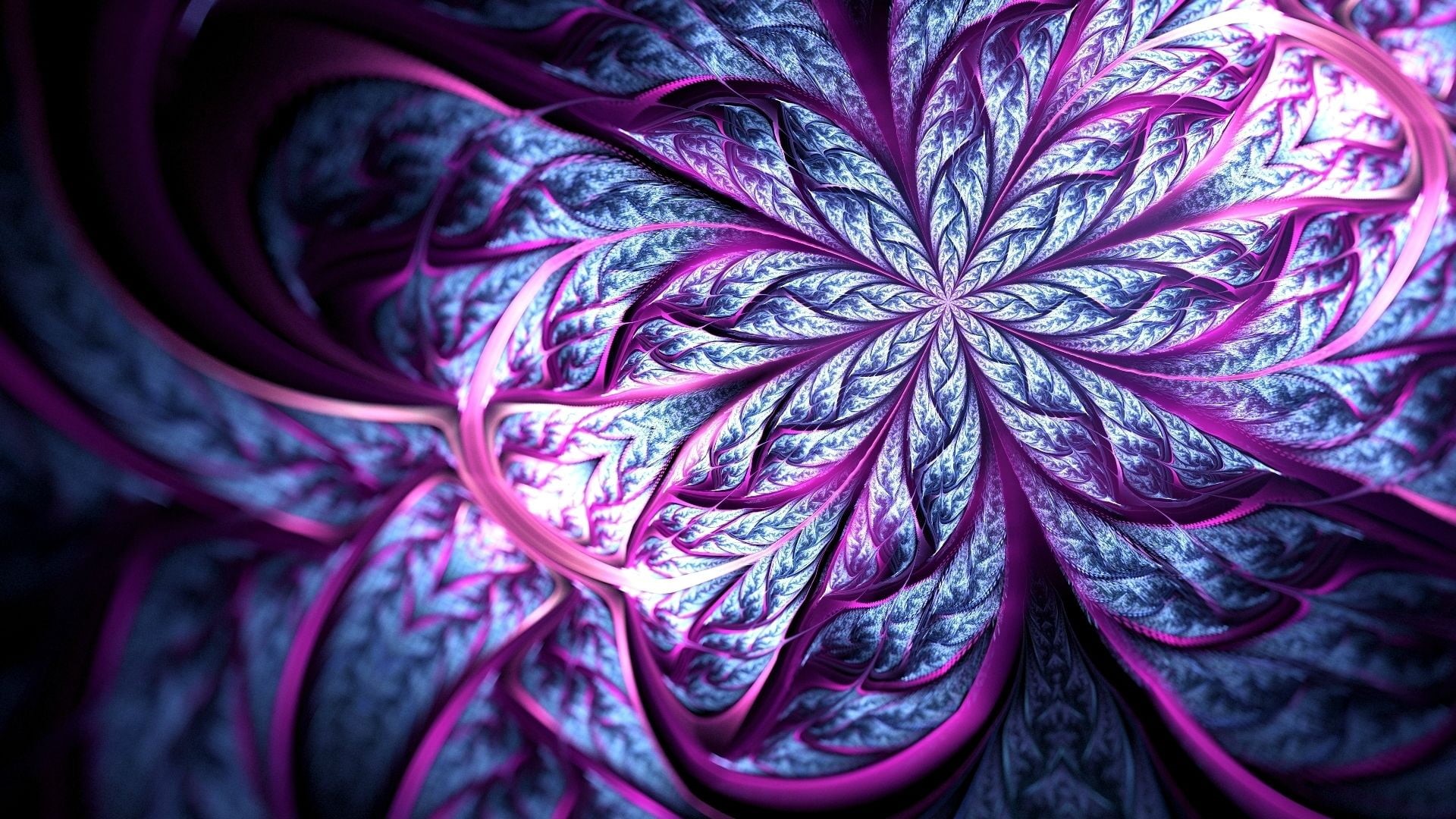 element, design, satin, lines, curve, flower, leaf, plant part, focus on foreground, artistic, vegetable, indoors, art, no people, backdrop, light, nature, HD Wallpaper